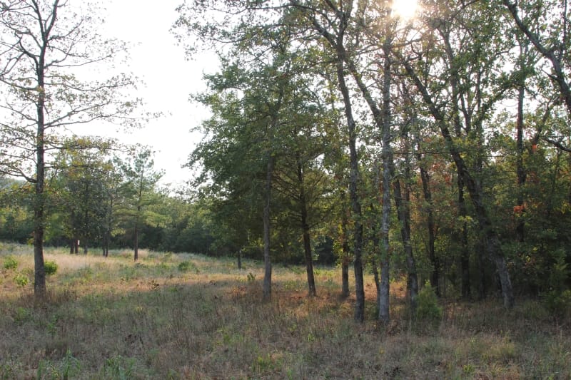 Lake View Ranch Tract 28 photo 4