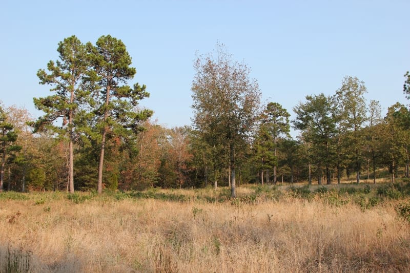 Lake View Ranch Tract 28 photo 5