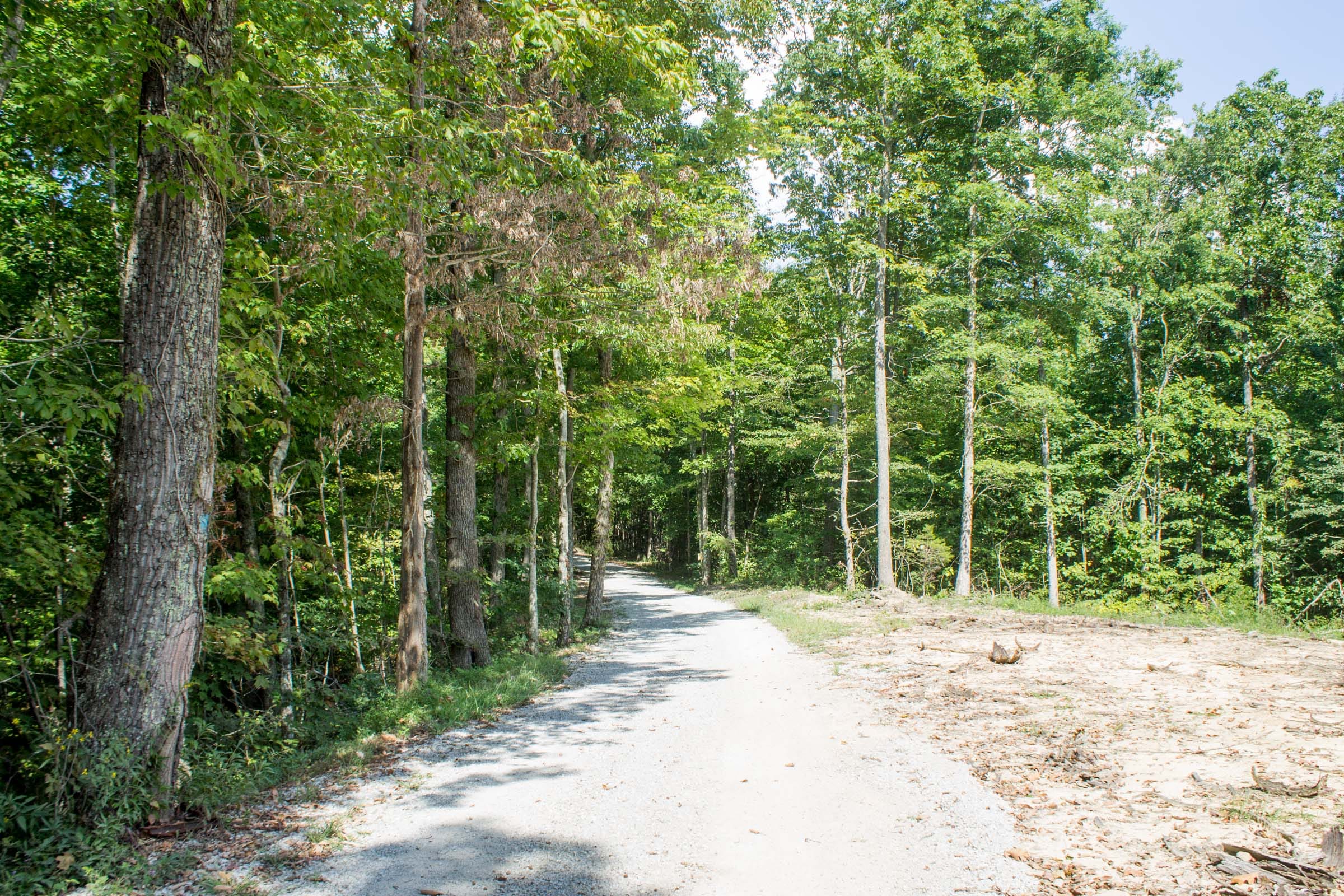 Buck Run Ridge Tract 32 photo 2