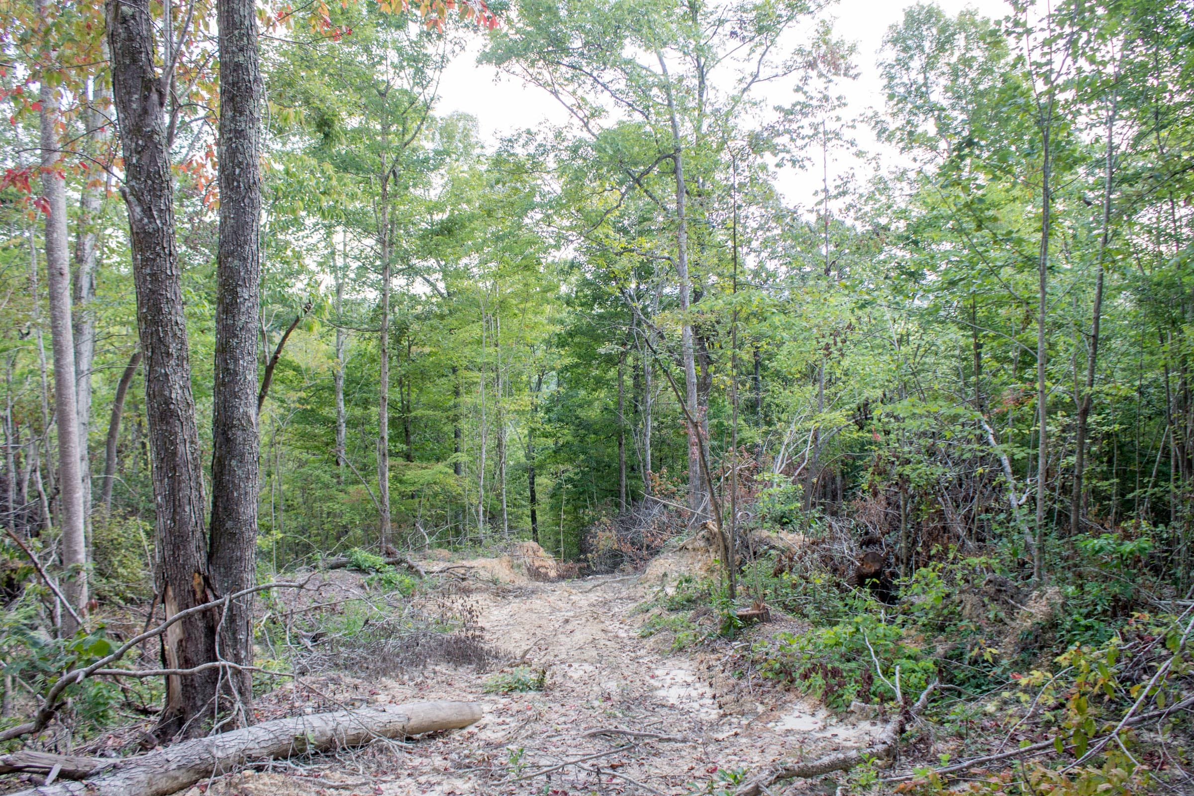 Buck Run Ridge Tract 32 photo 4