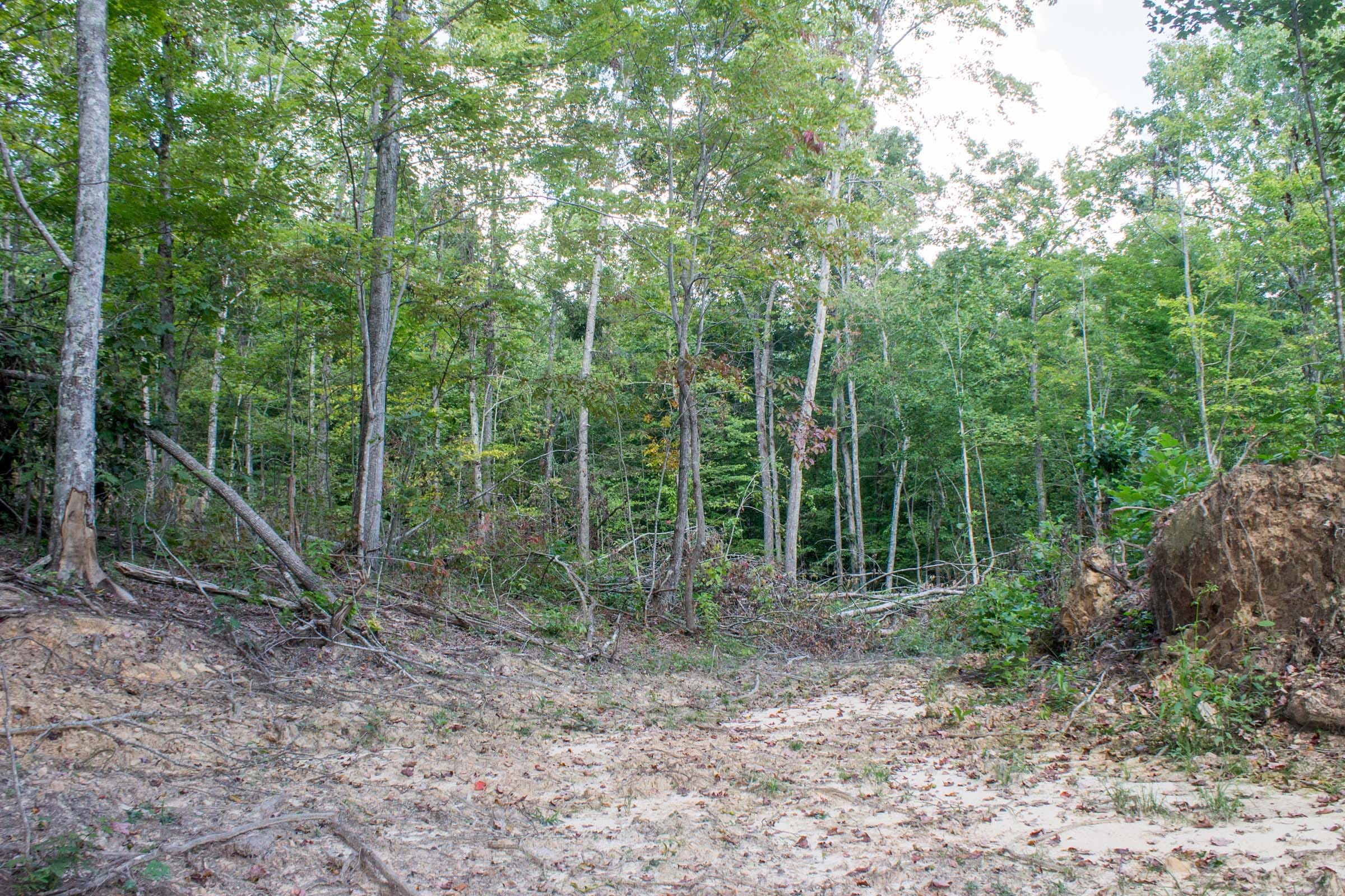 Buck Run Ridge Tract 32 photo 9