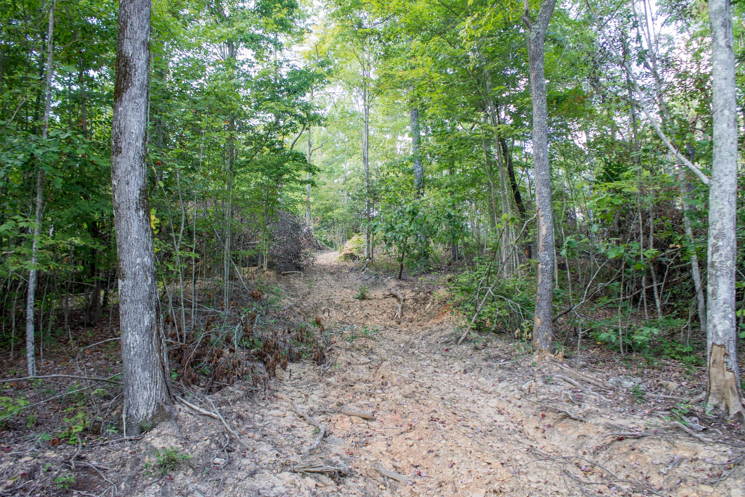 Buck Run Ridge Tract 32 photo 11