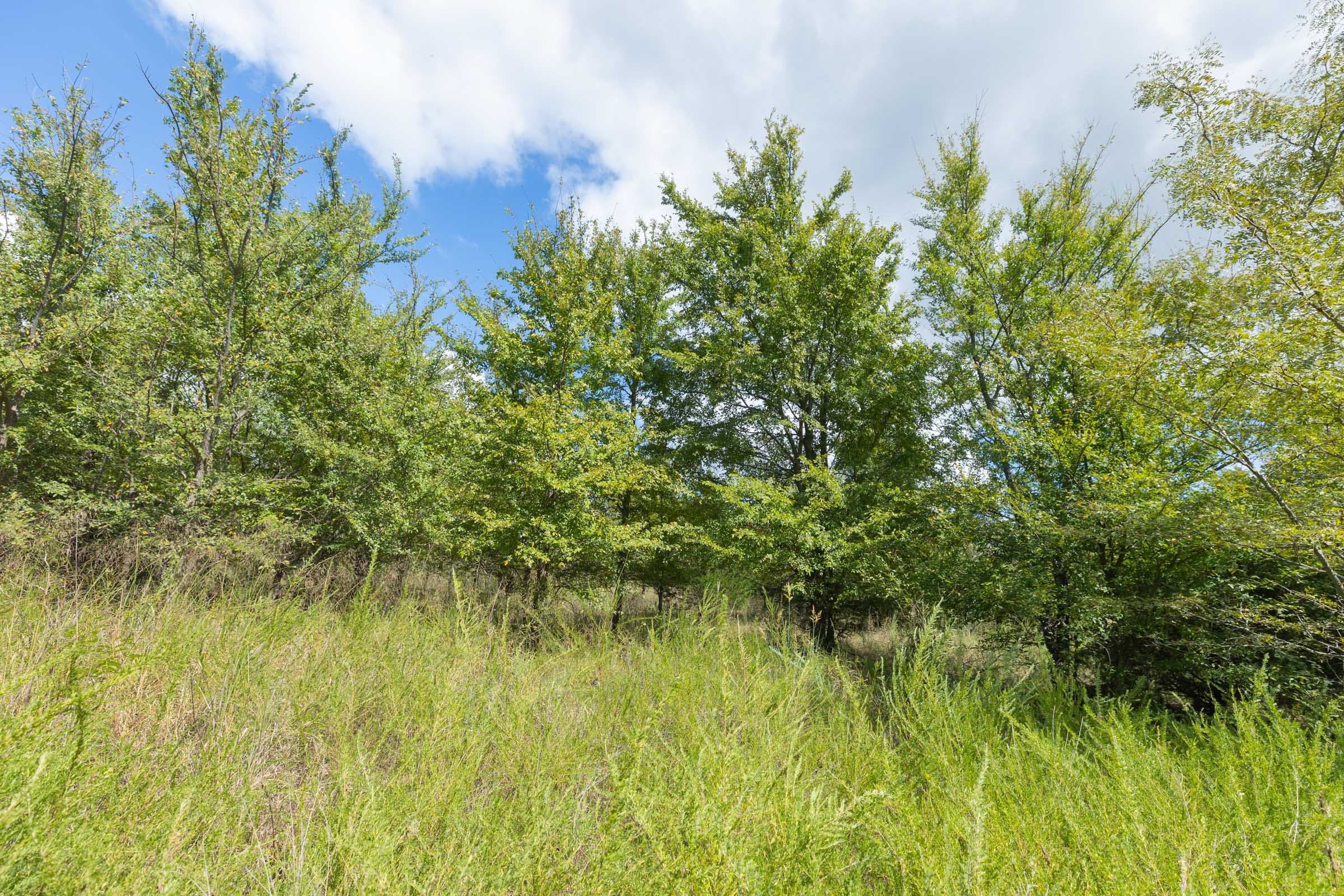 Reserves At Cattail Cove Phase II Tract 101 photo 13