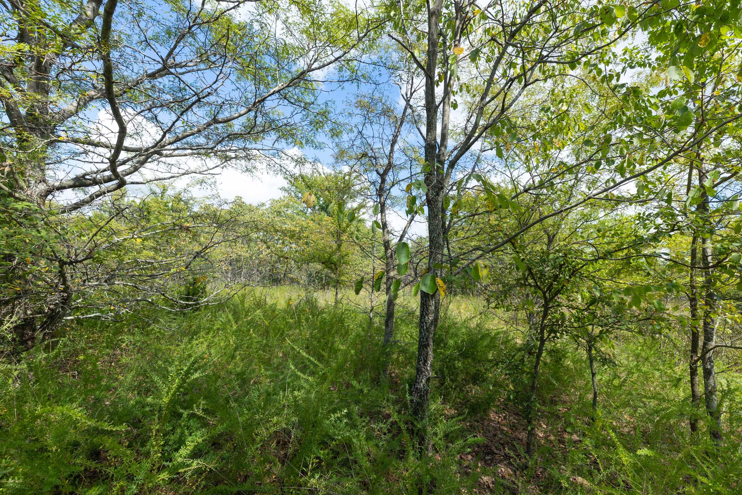 Reserves At Cattail Cove Phase II Tract 101 photo 12
