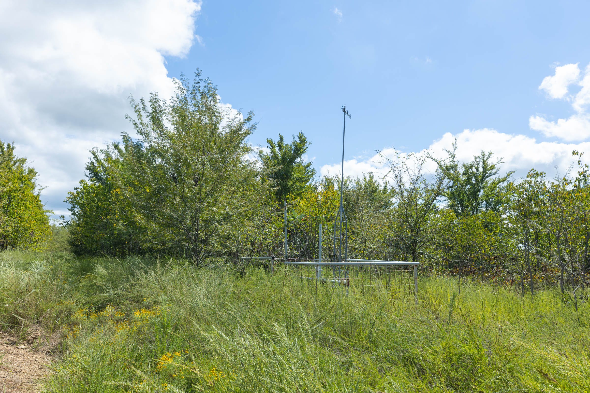 Reserves At Cattail Cove Phase II Tract 101 photo 11