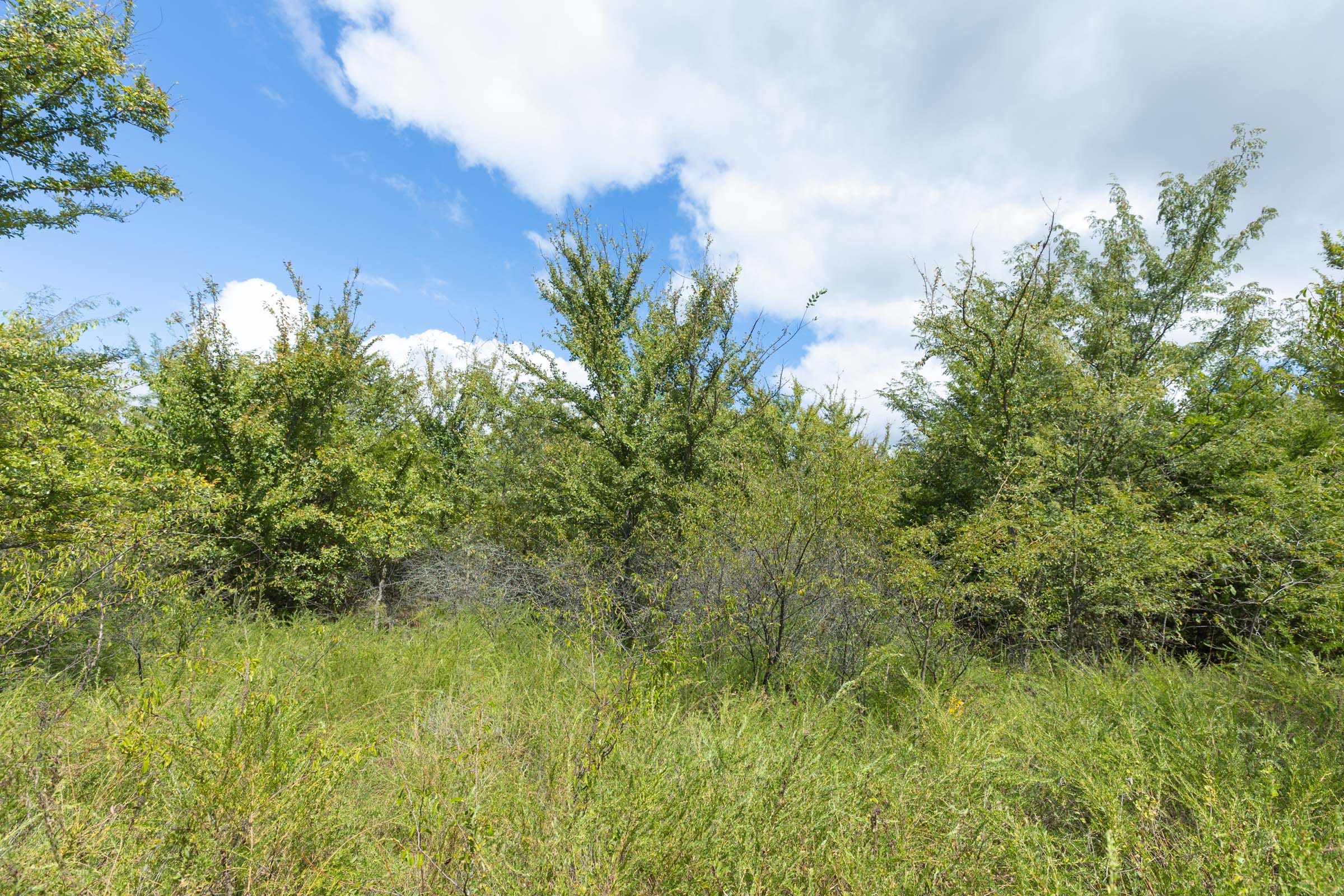 Reserves At Cattail Cove Phase II Tract 101 photo 10
