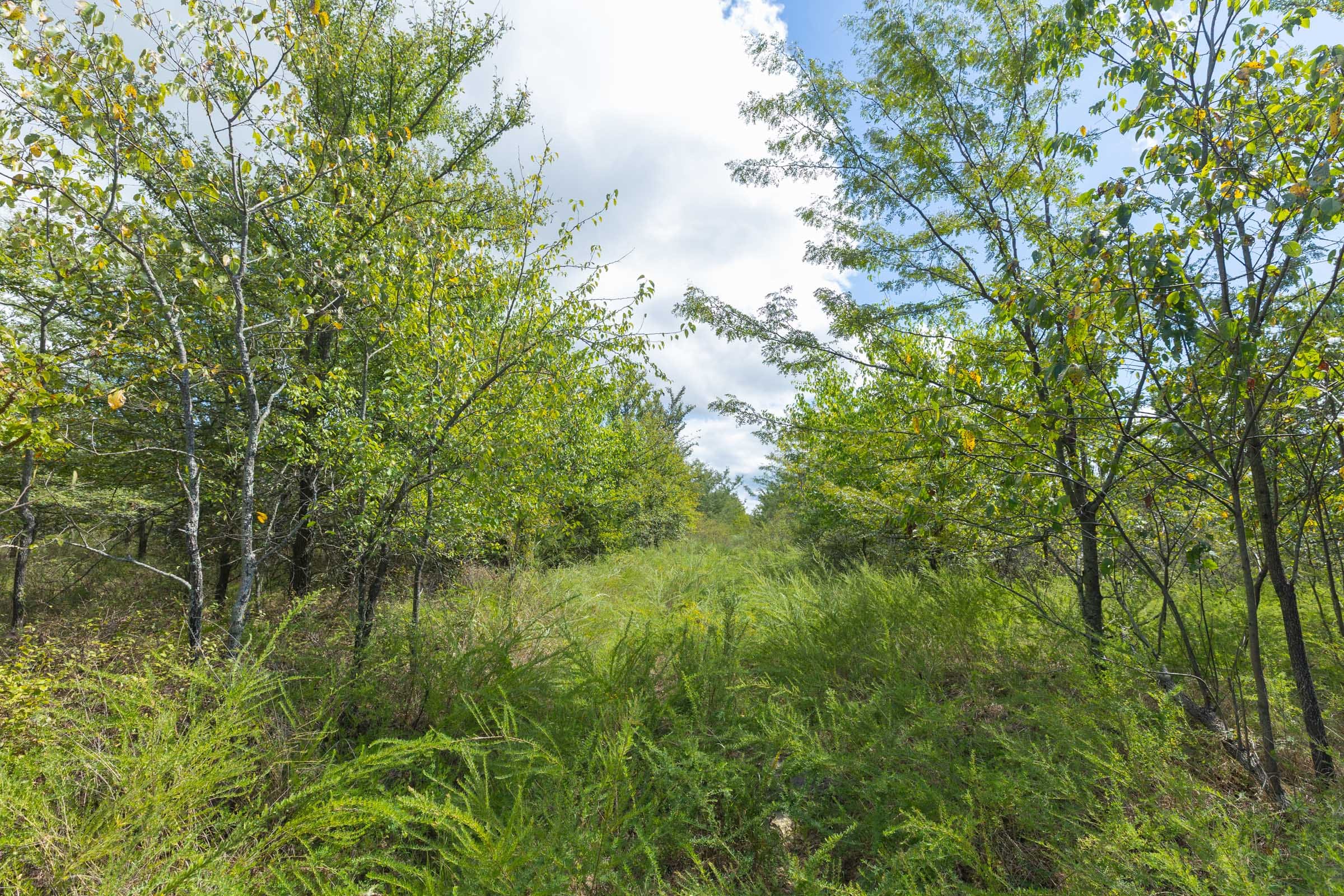 Reserves At Cattail Cove Phase II Tract 101 photo 9
