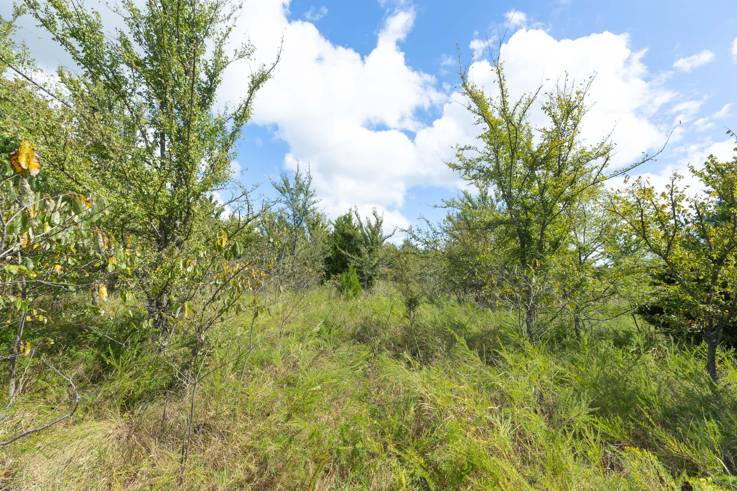 Reserves At Cattail Cove Phase II Tract 101 photo 8