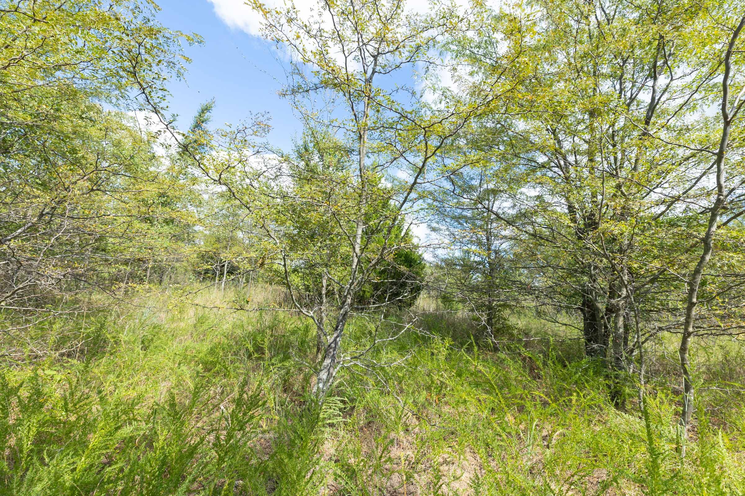 Reserves At Cattail Cove Phase II Tract 101 photo 7