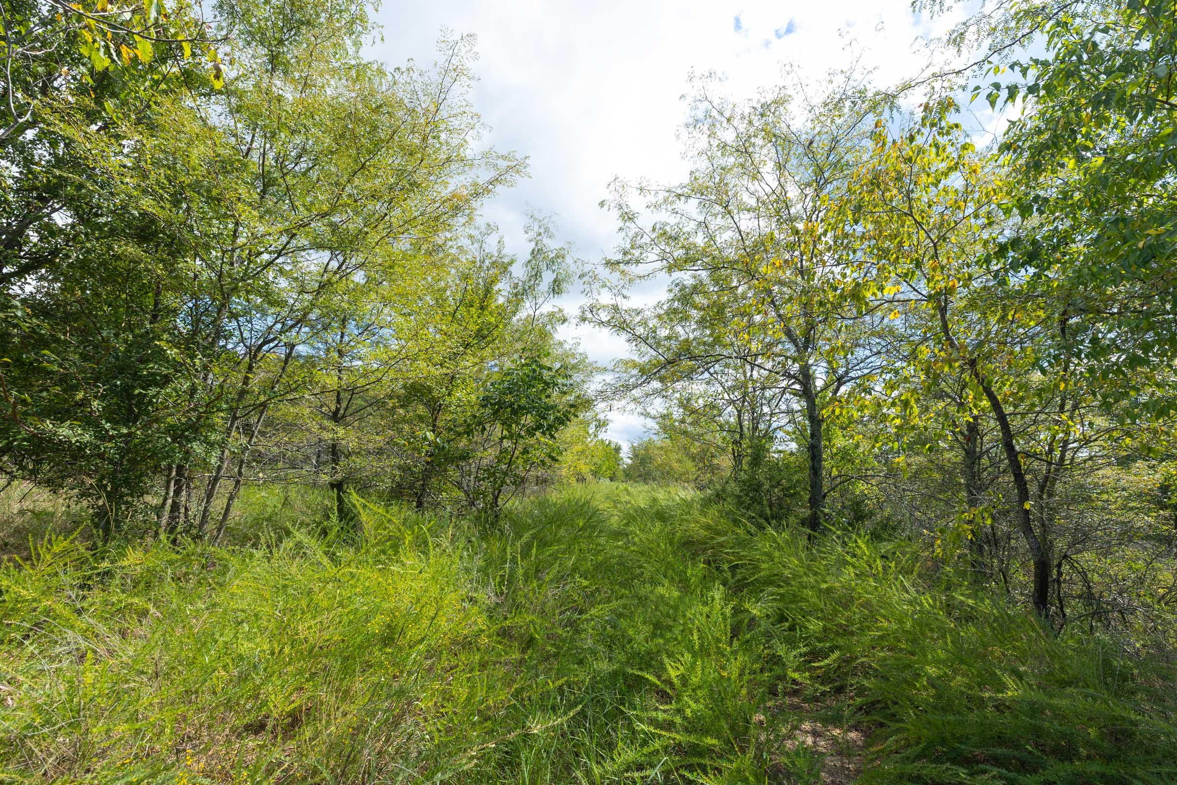 Reserves At Cattail Cove Phase II Tract 101 photo 6