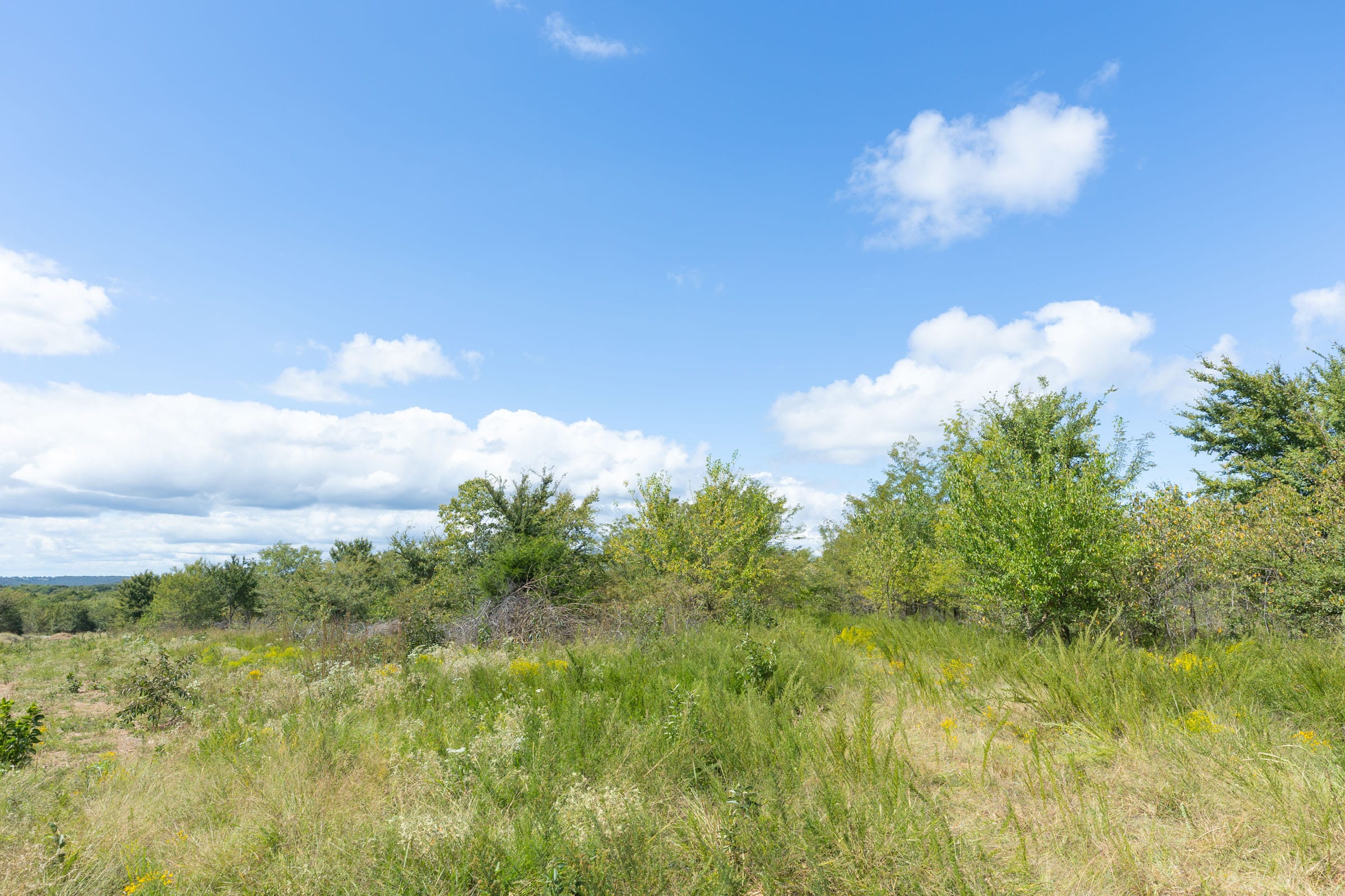 Reserves At Cattail Cove Phase II Tract 101 photo 5