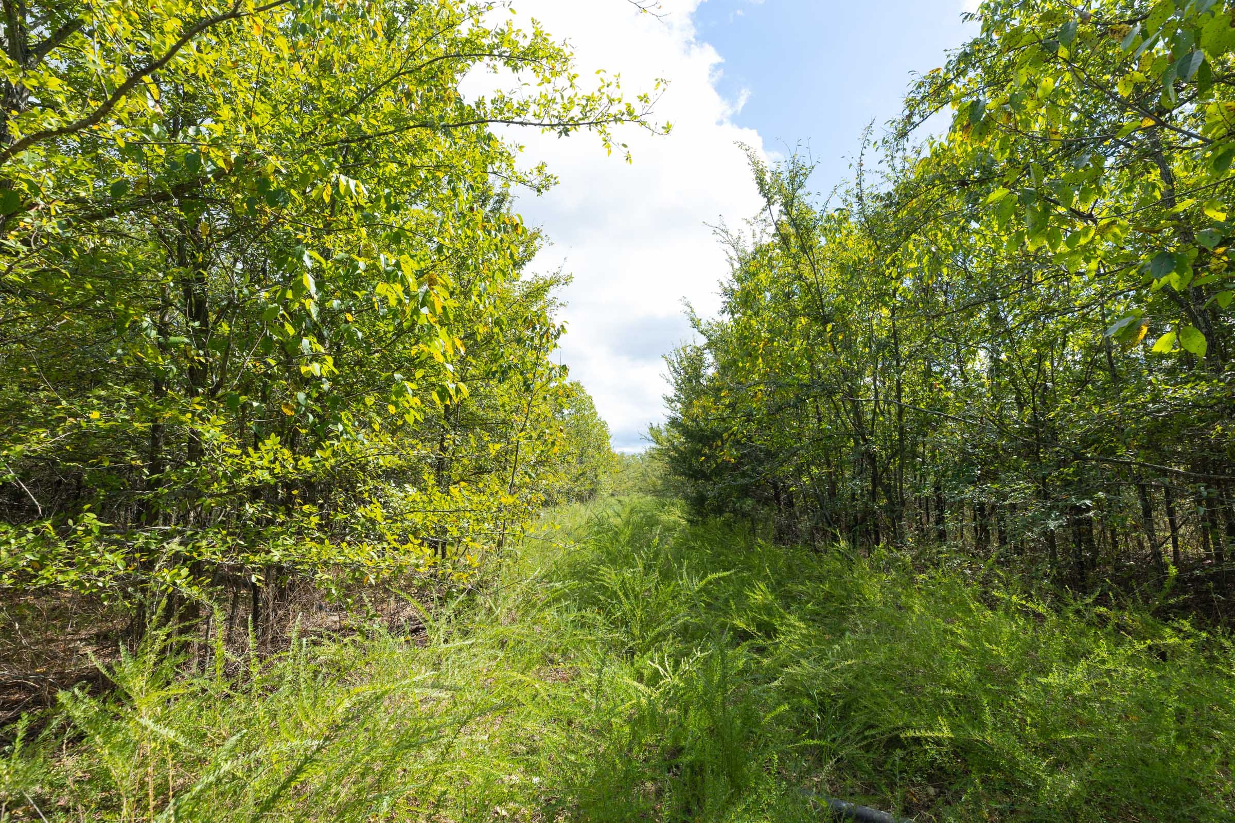 Reserves At Cattail Cove Phase II Tract 101 photo 4