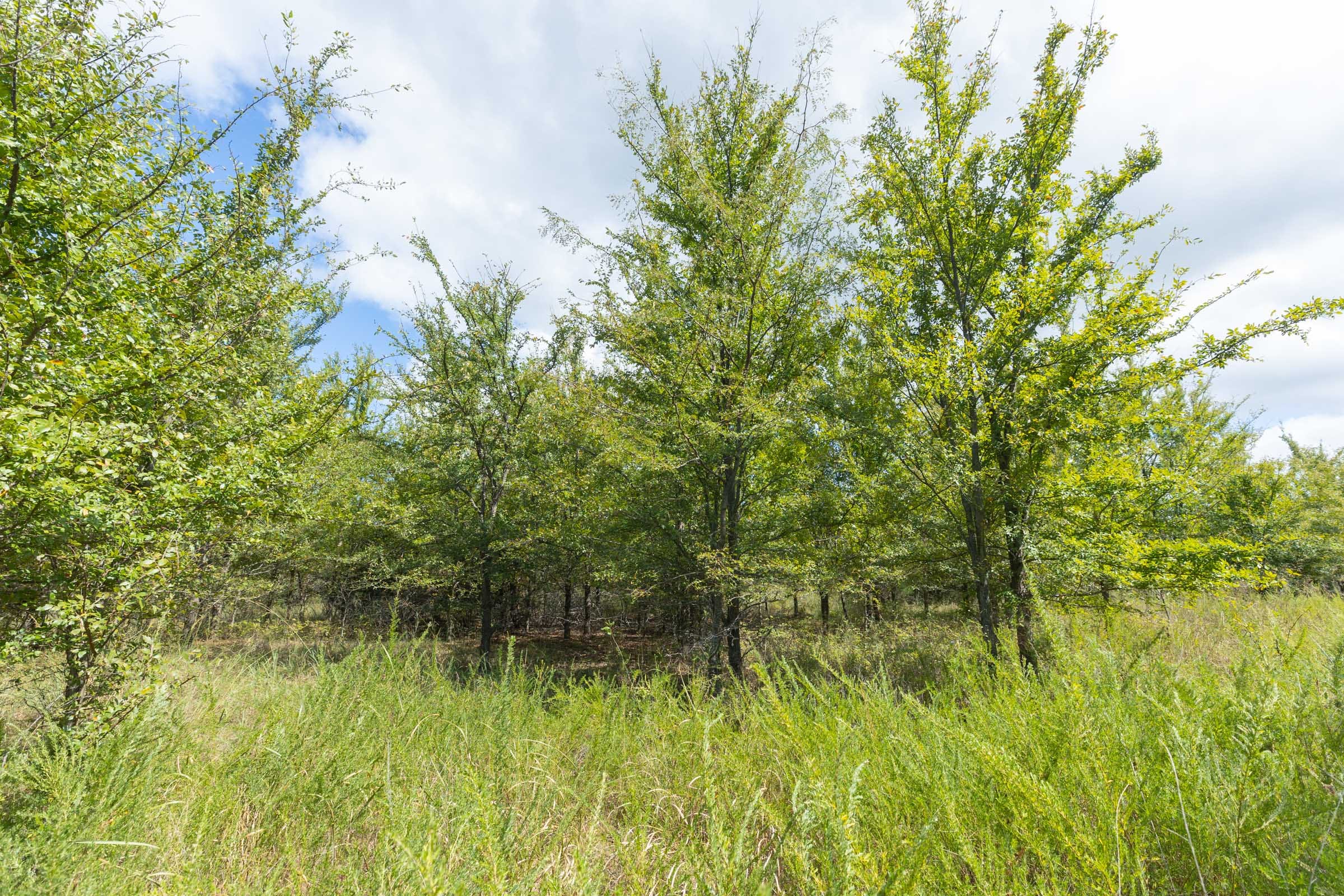 Reserves At Cattail Cove Phase II Tract 101 photo 3