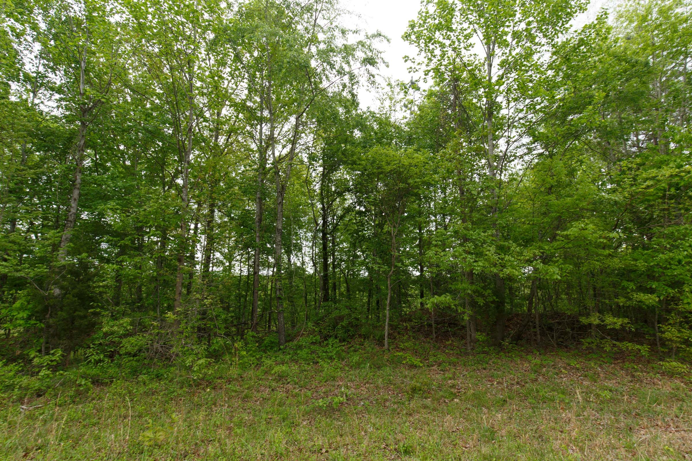 Red Barn Ranch Tract 17 photo 2
