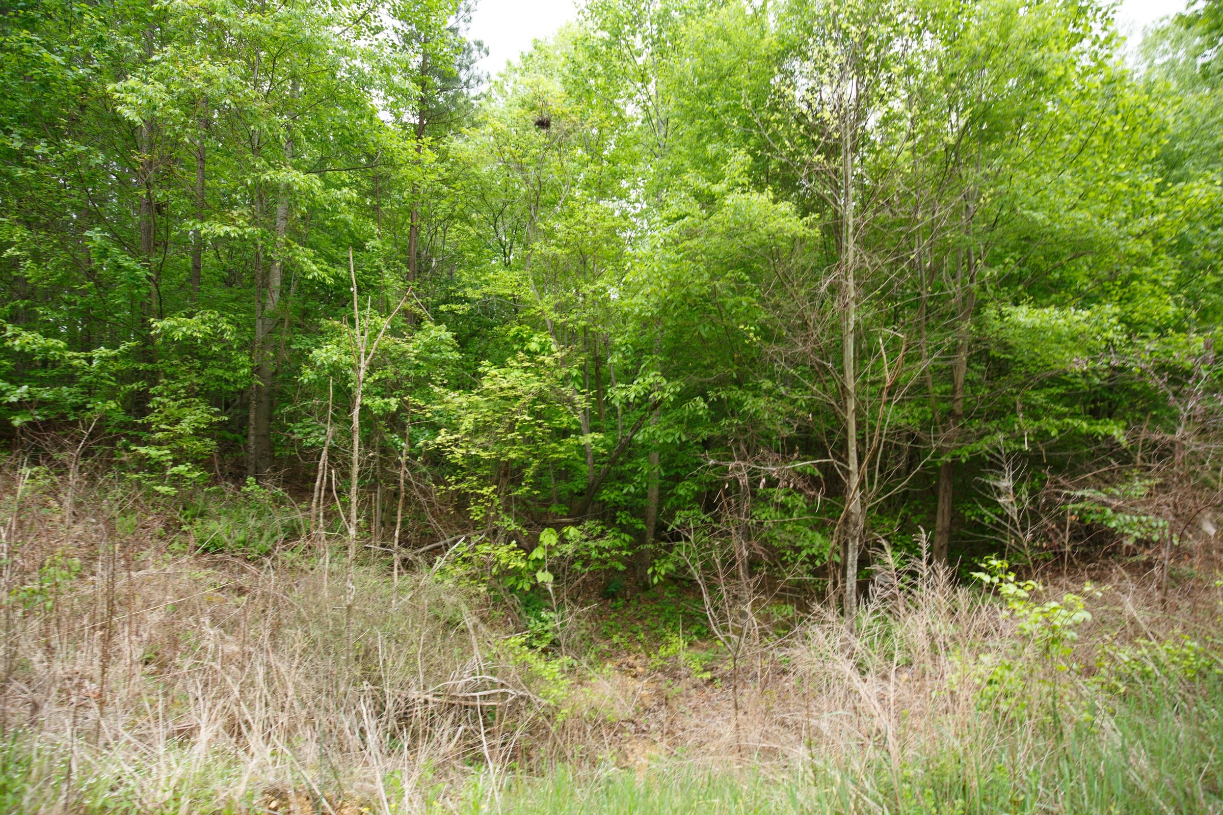 Red Barn Ranch Tract 17 photo 7