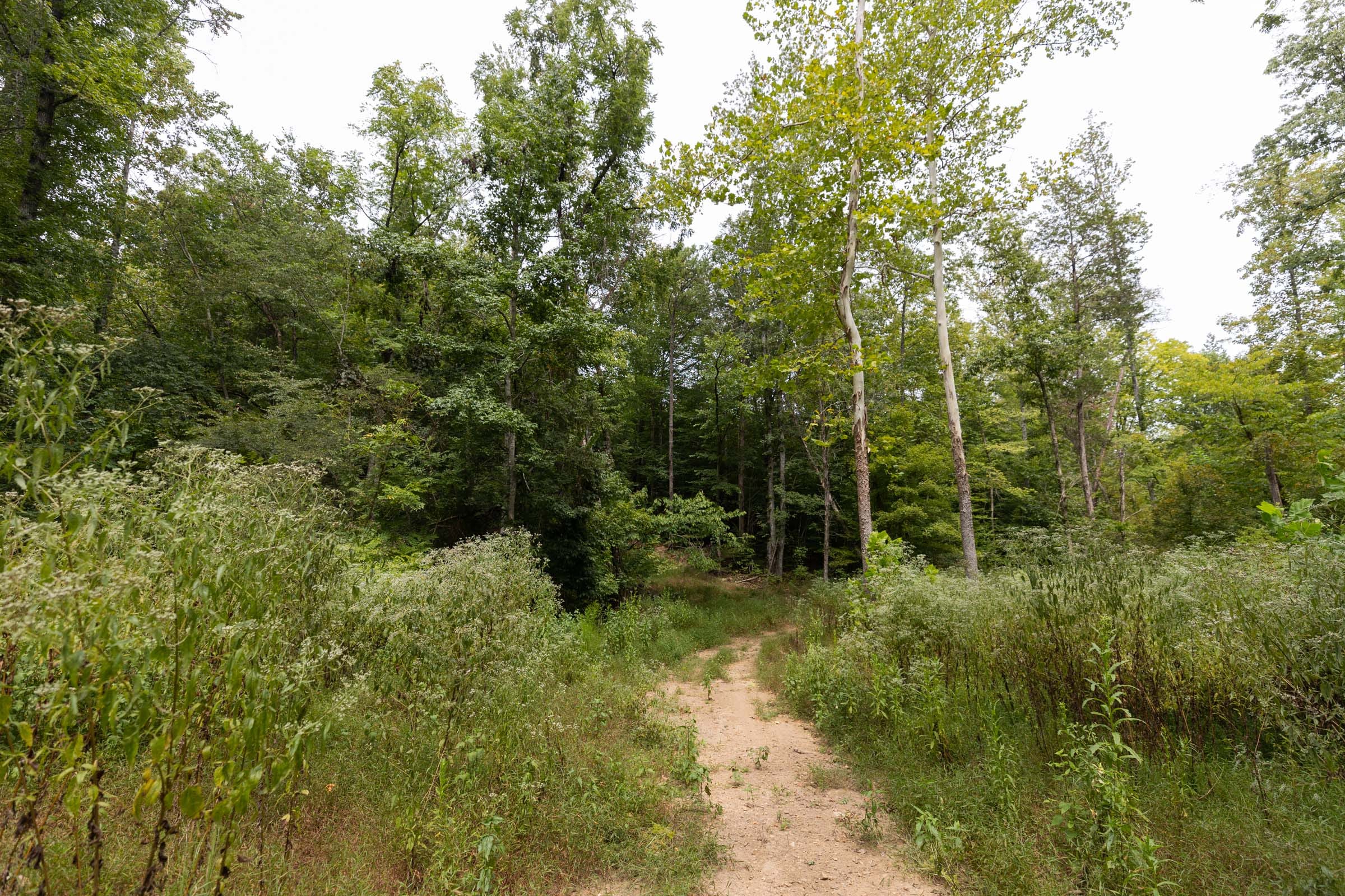 Big White Oak Tract 93 photo 11