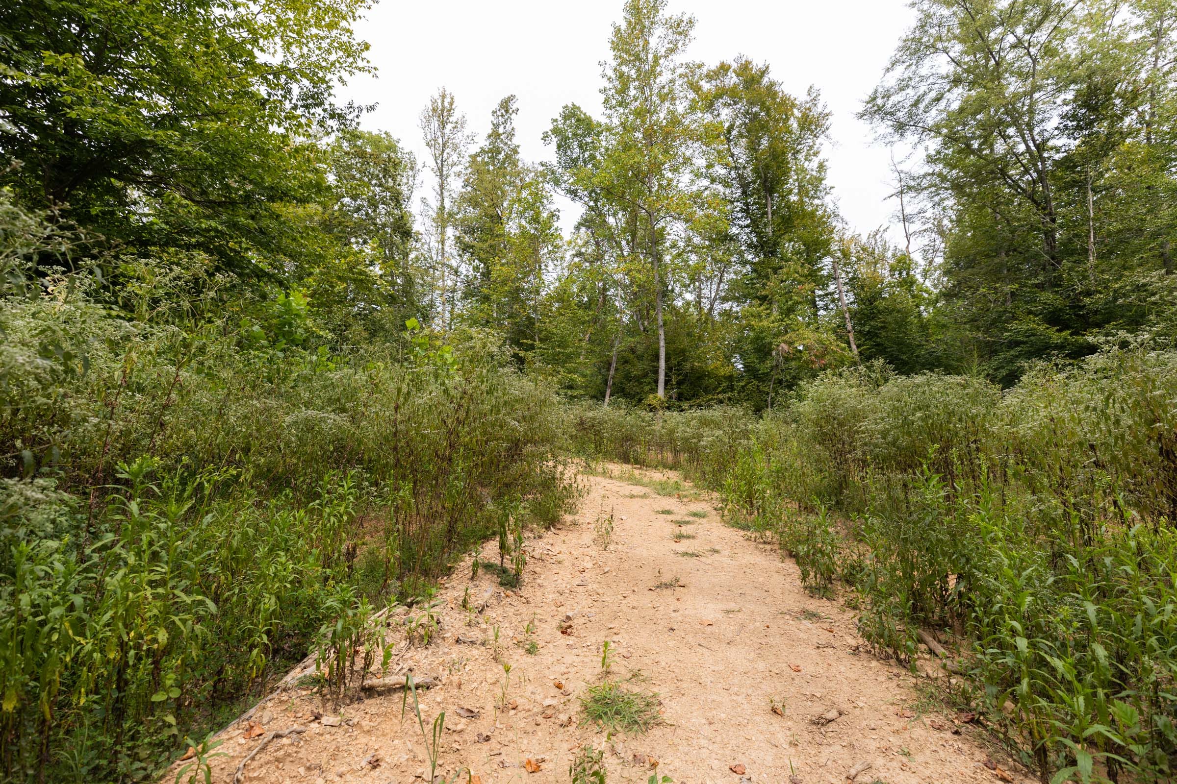 Big White Oak Tract 93 photo 8