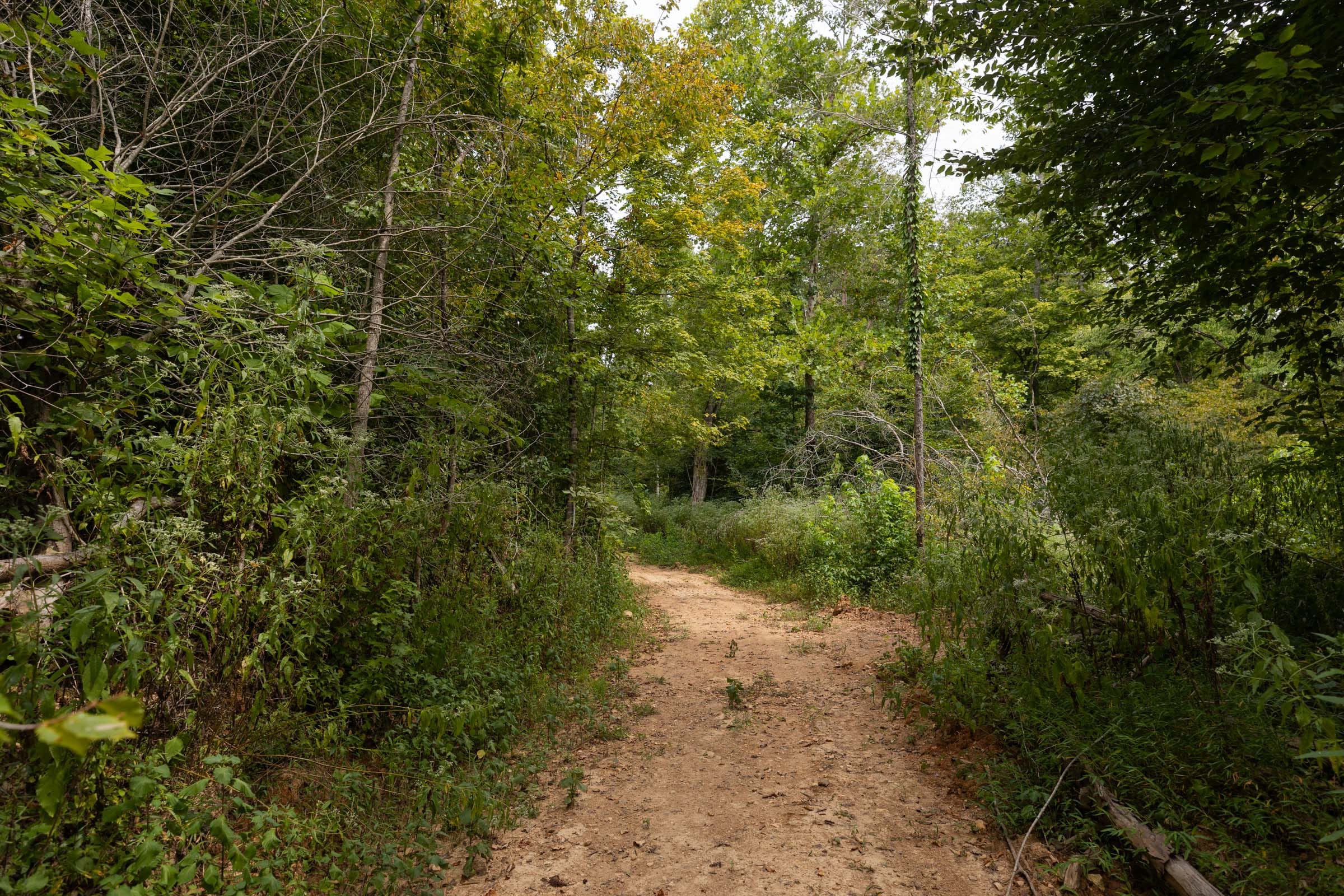 Big White Oak Tract 93 photo 7