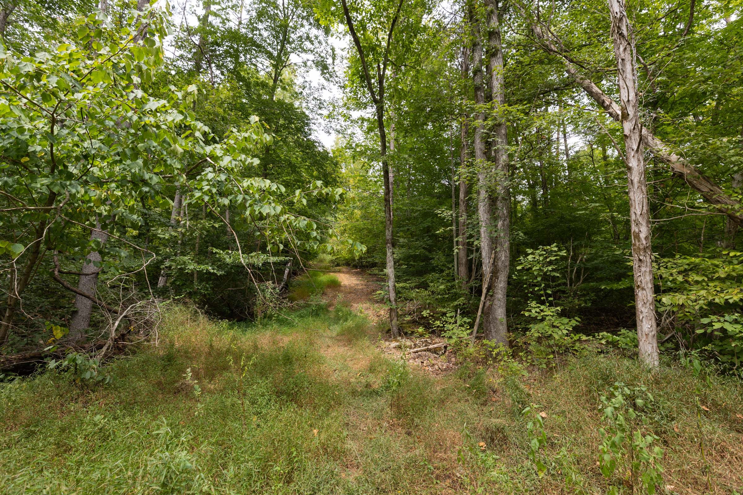 Big White Oak Tract 93 photo 6