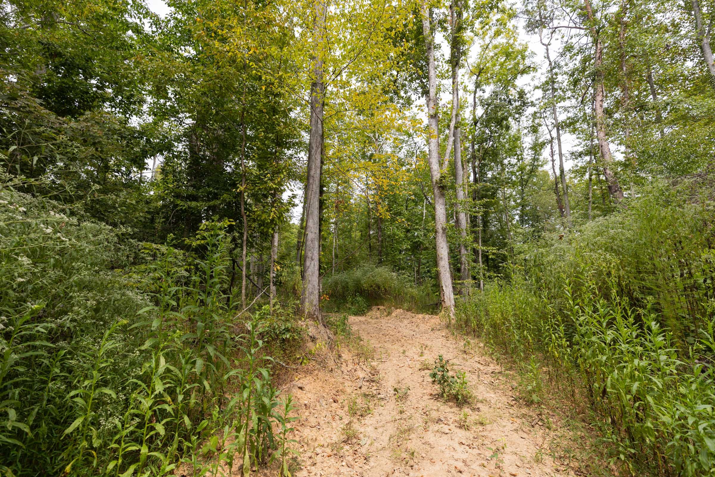 Big White Oak Tract 93 photo 5