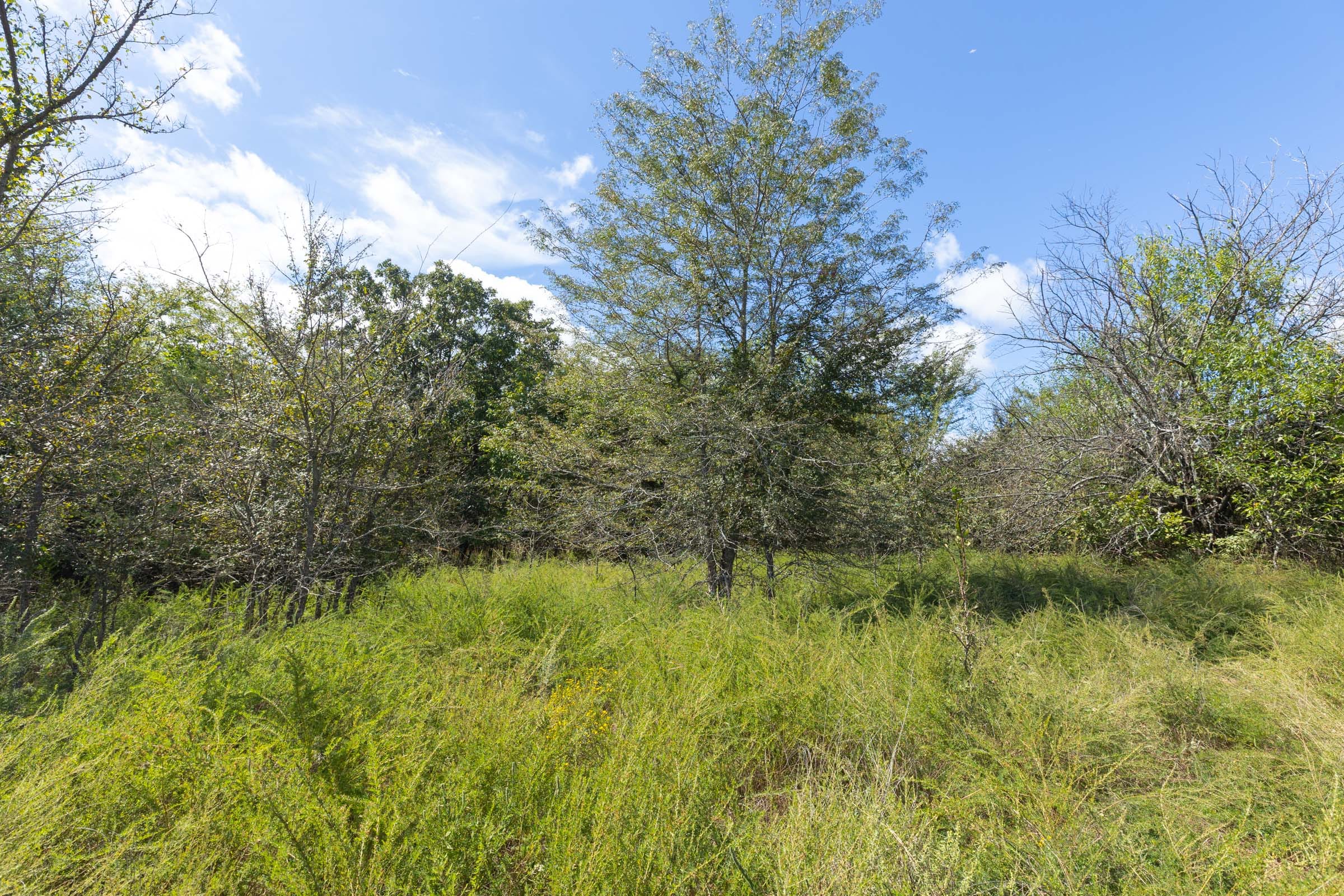 Reserves At Cattail Cove Phase II Tract 73 photo 12