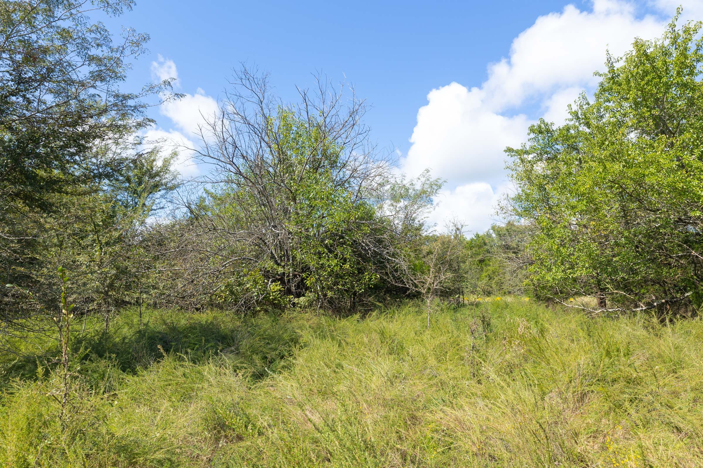 Reserves At Cattail Cove Phase II Tract 73 photo 11