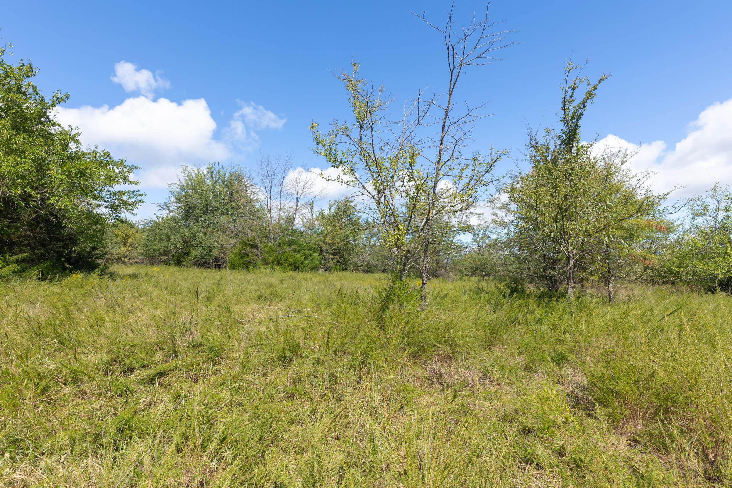 Reserves At Cattail Cove Phase II Tract 73 photo 10