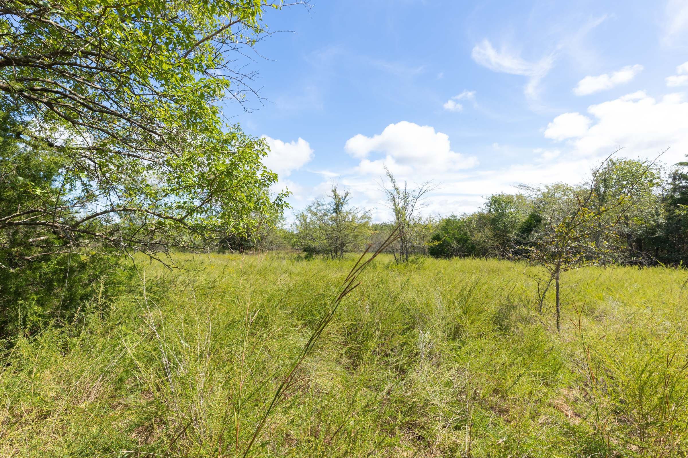 Reserves At Cattail Cove Phase II Tract 73 photo 9