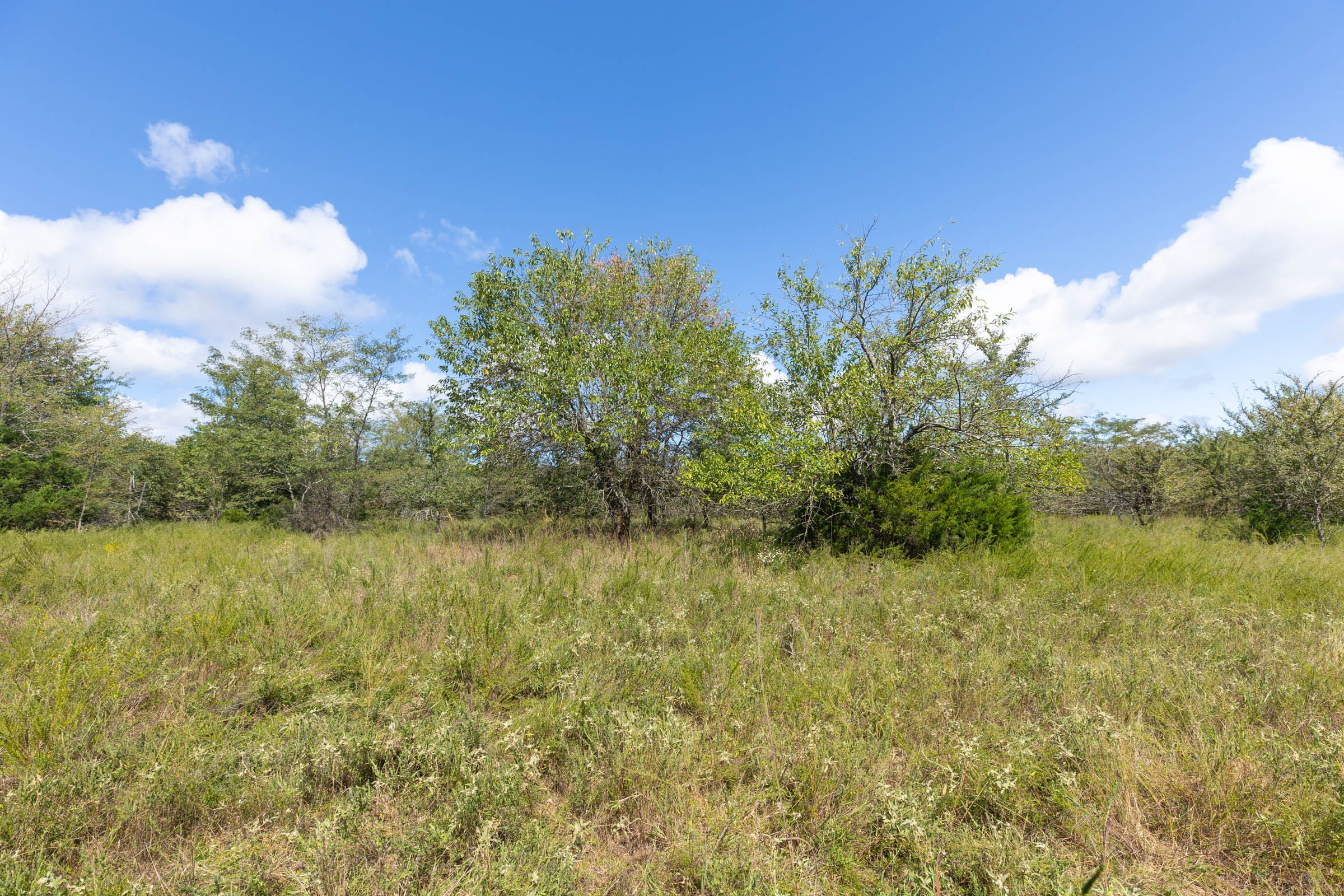 Reserves At Cattail Cove Phase II Tract 73 photo 8