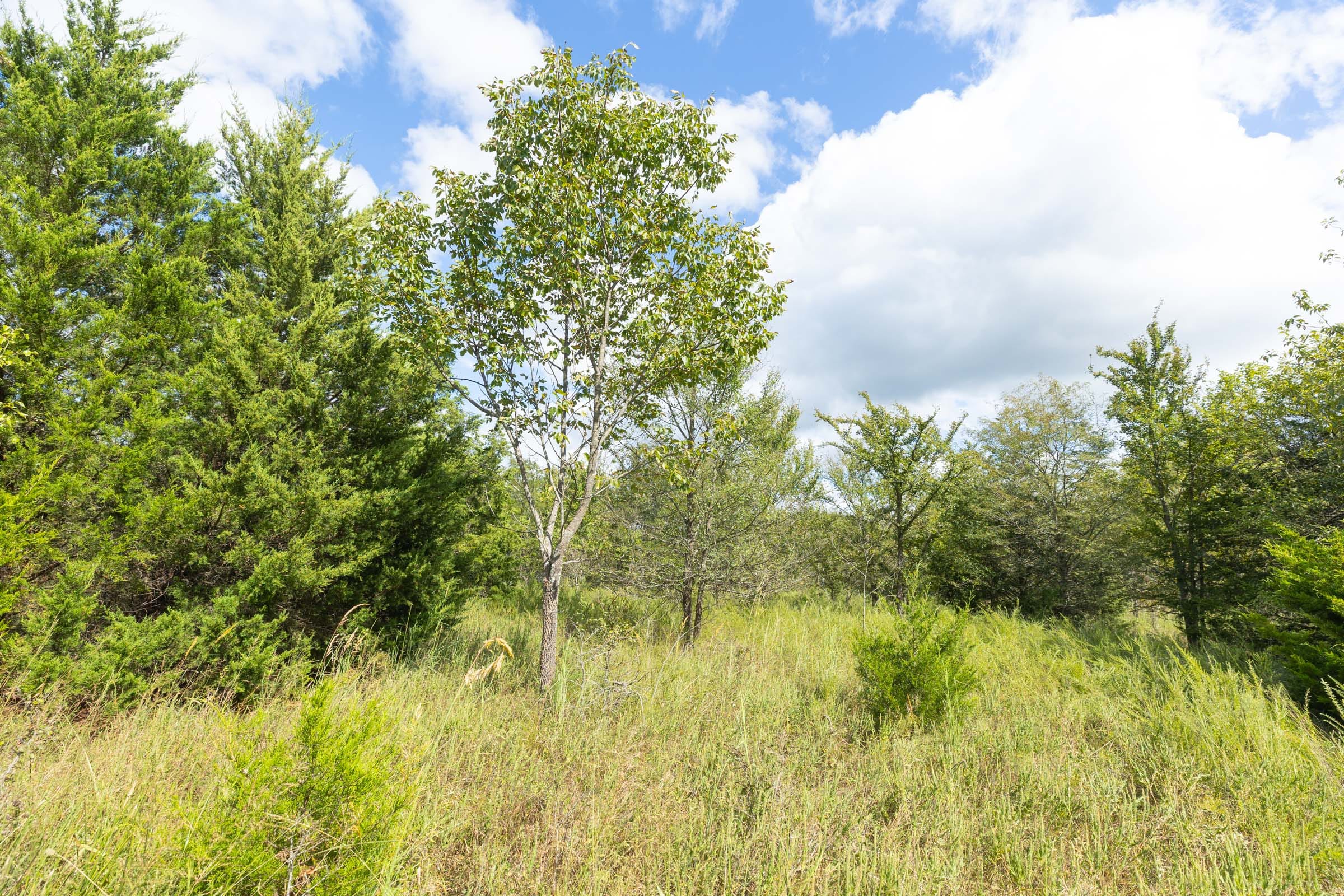 Reserves At Cattail Cove Phase II Tract 73 photo 7
