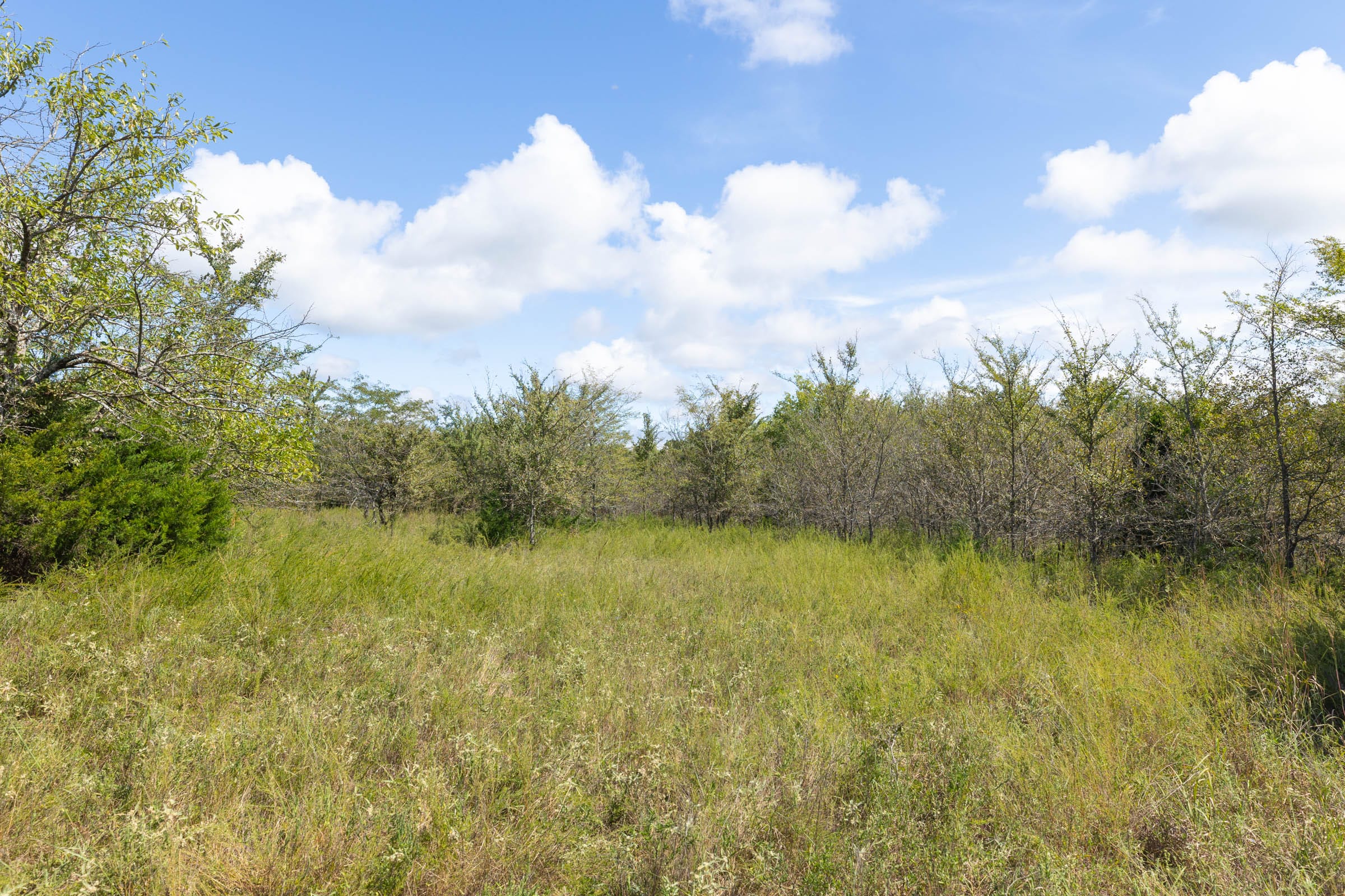 Reserves At Cattail Cove Phase II Tract 73 photo 6