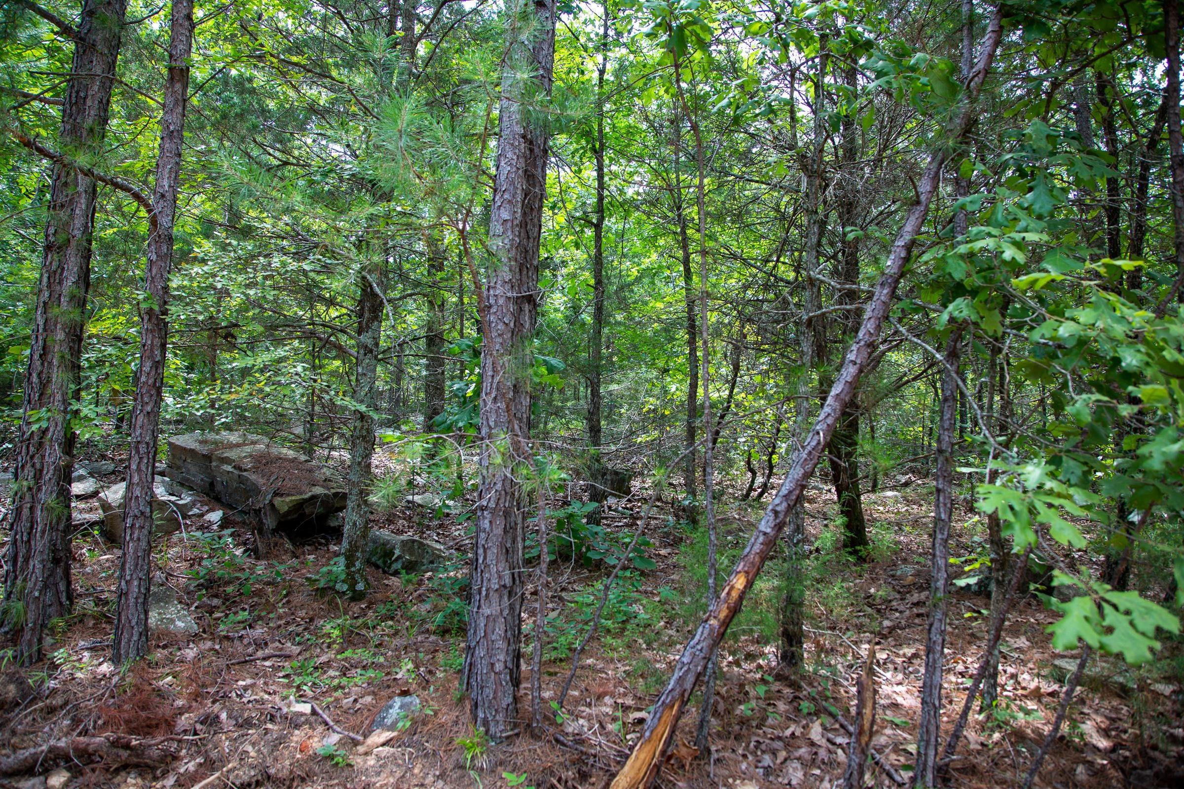 Tyler Stone Ranch Tract 68 photo 4