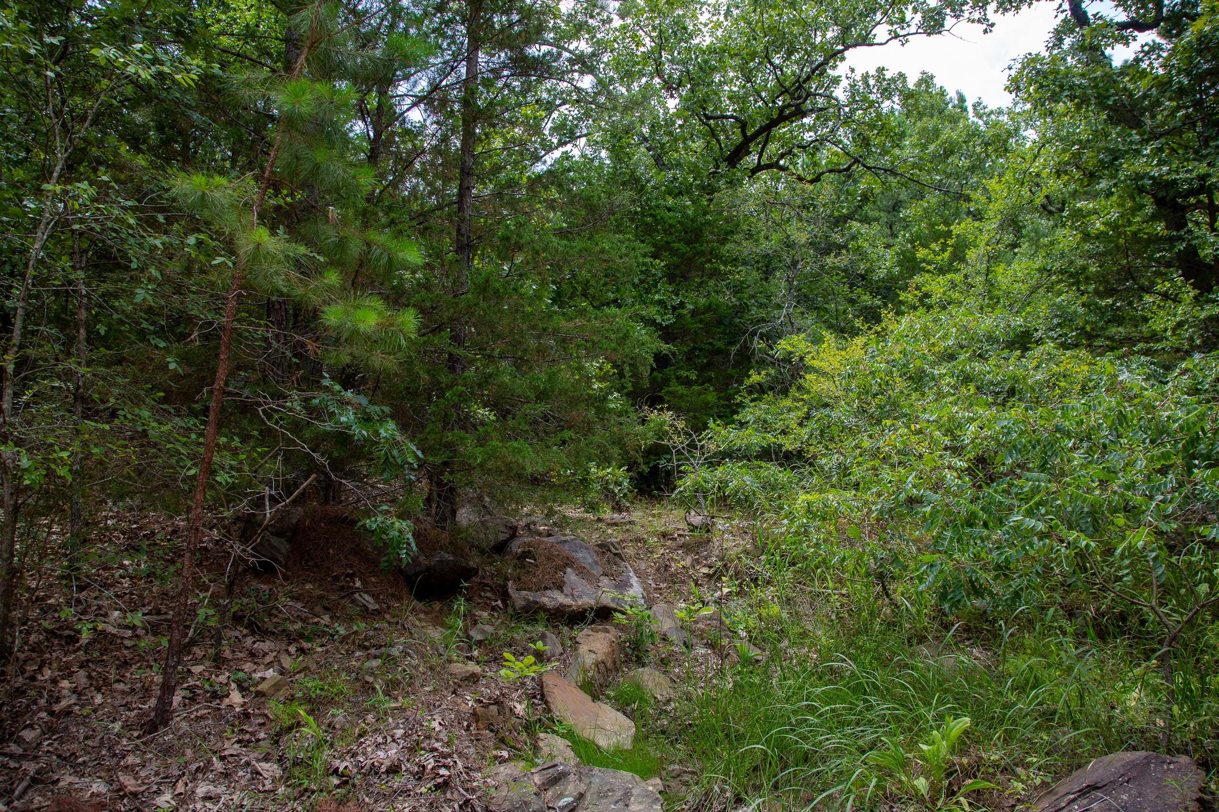 Tyler Stone Ranch Tract 68 photo 5