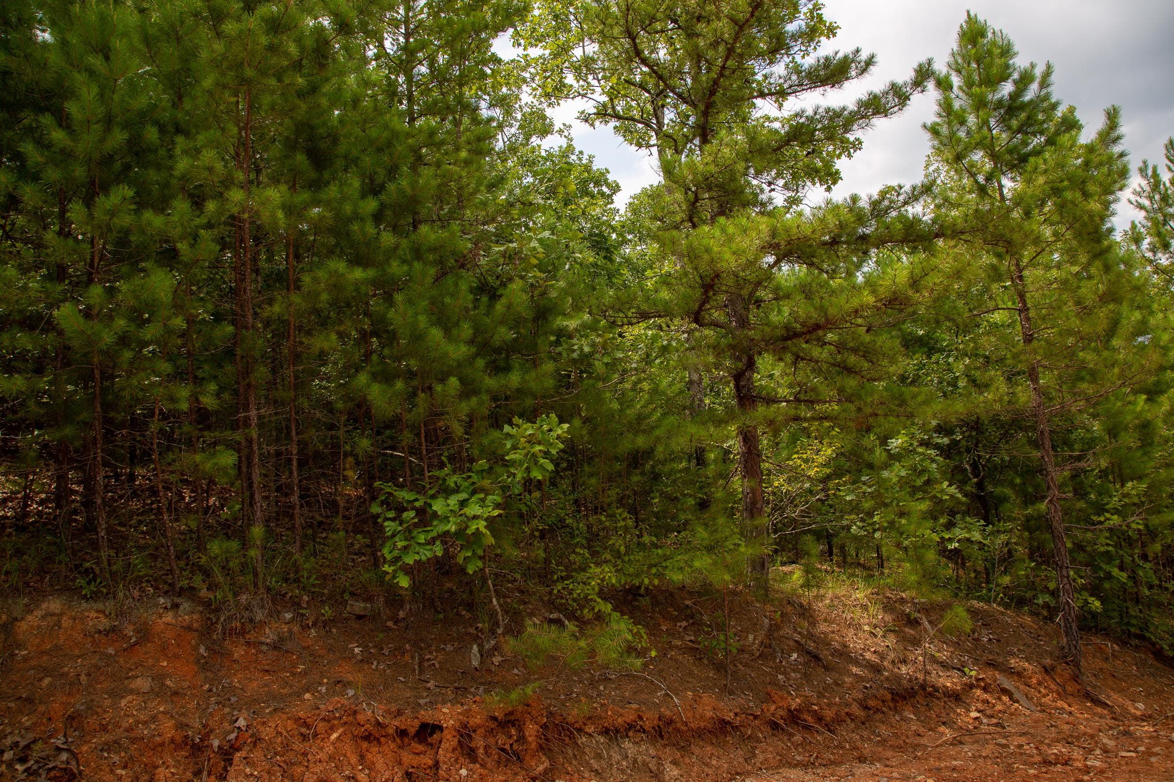 Tyler Stone Ranch Tract 68 photo 7