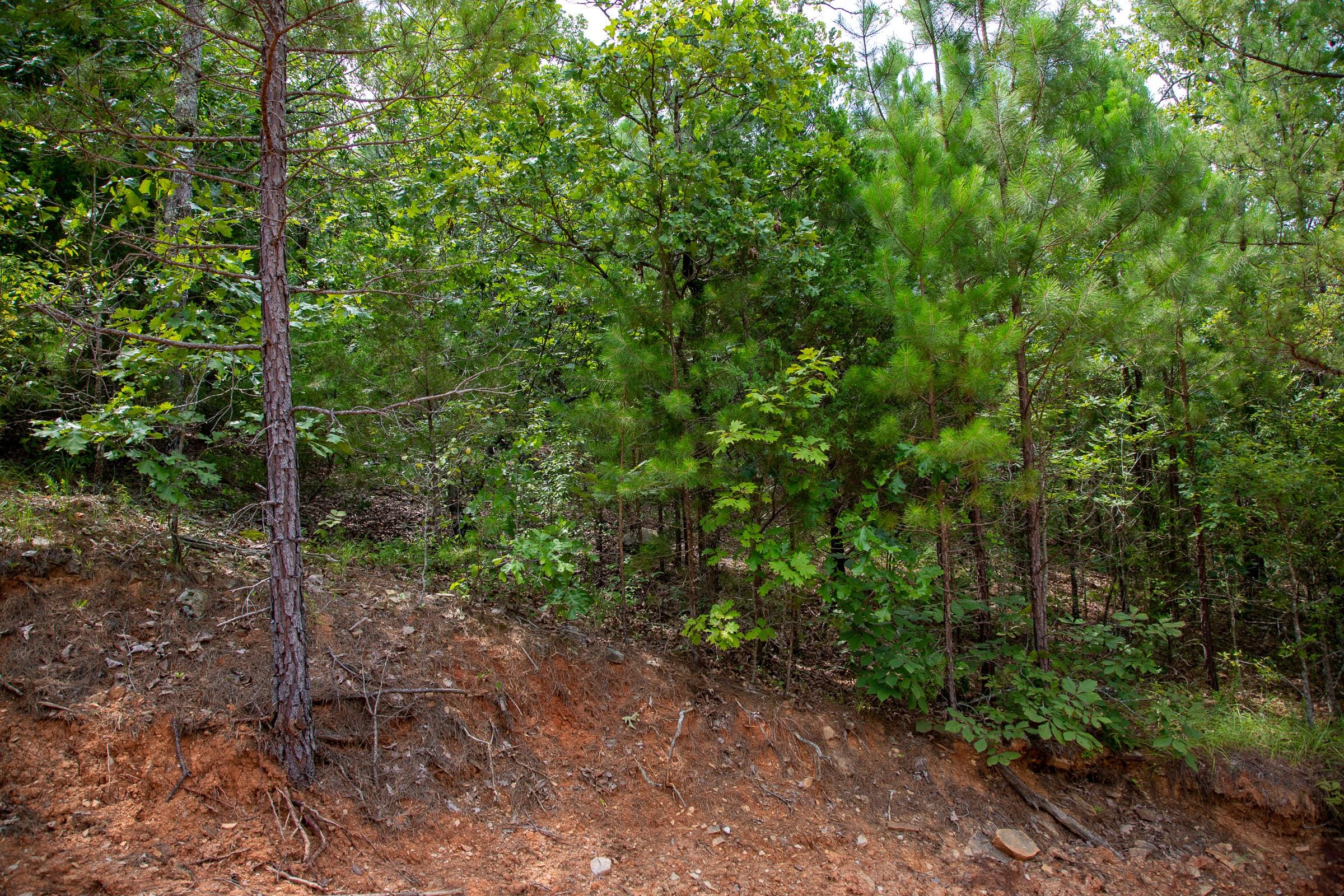 Tyler Stone Ranch Tract 68 photo 8