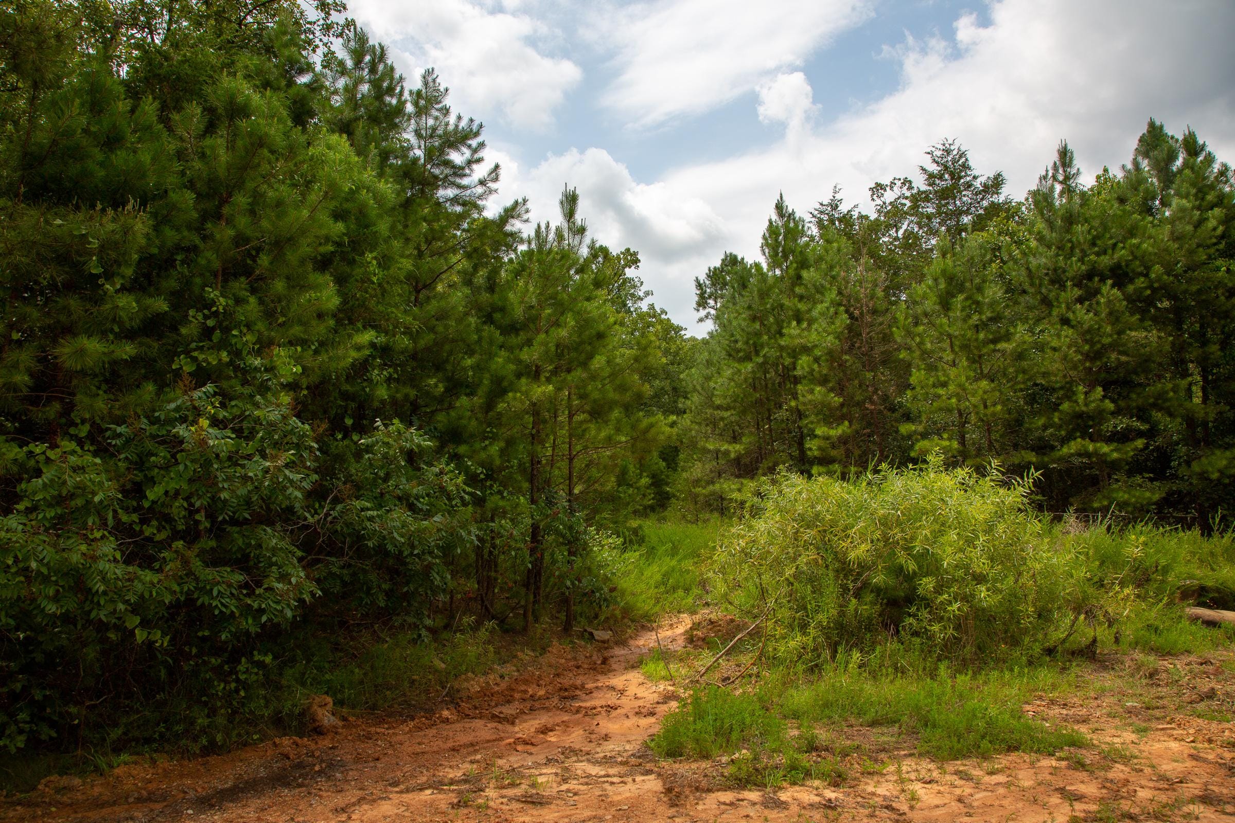 Tyler Stone Ranch Tract 68 photo 10