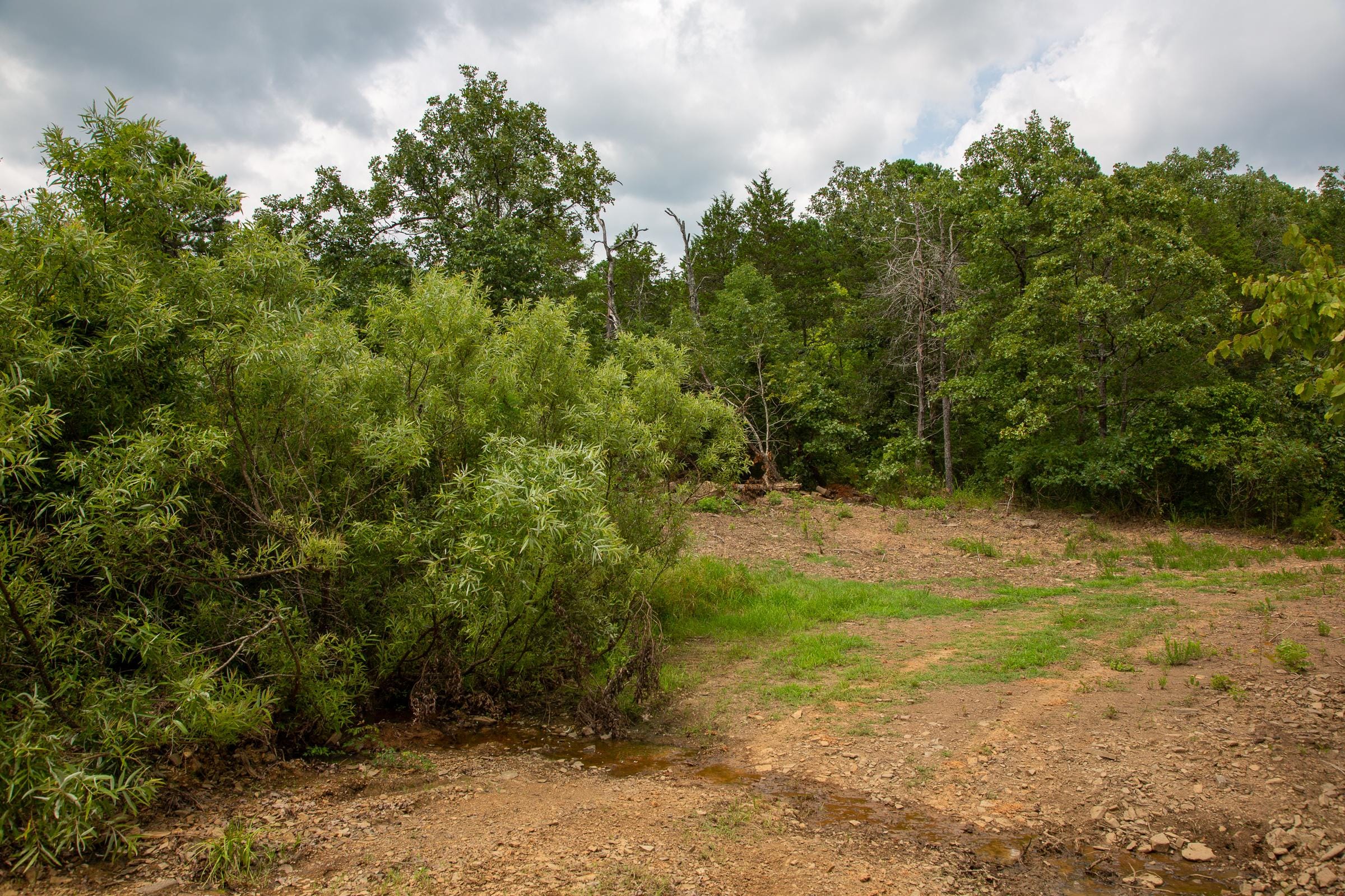 Tyler Stone Ranch Tract 68 photo 11