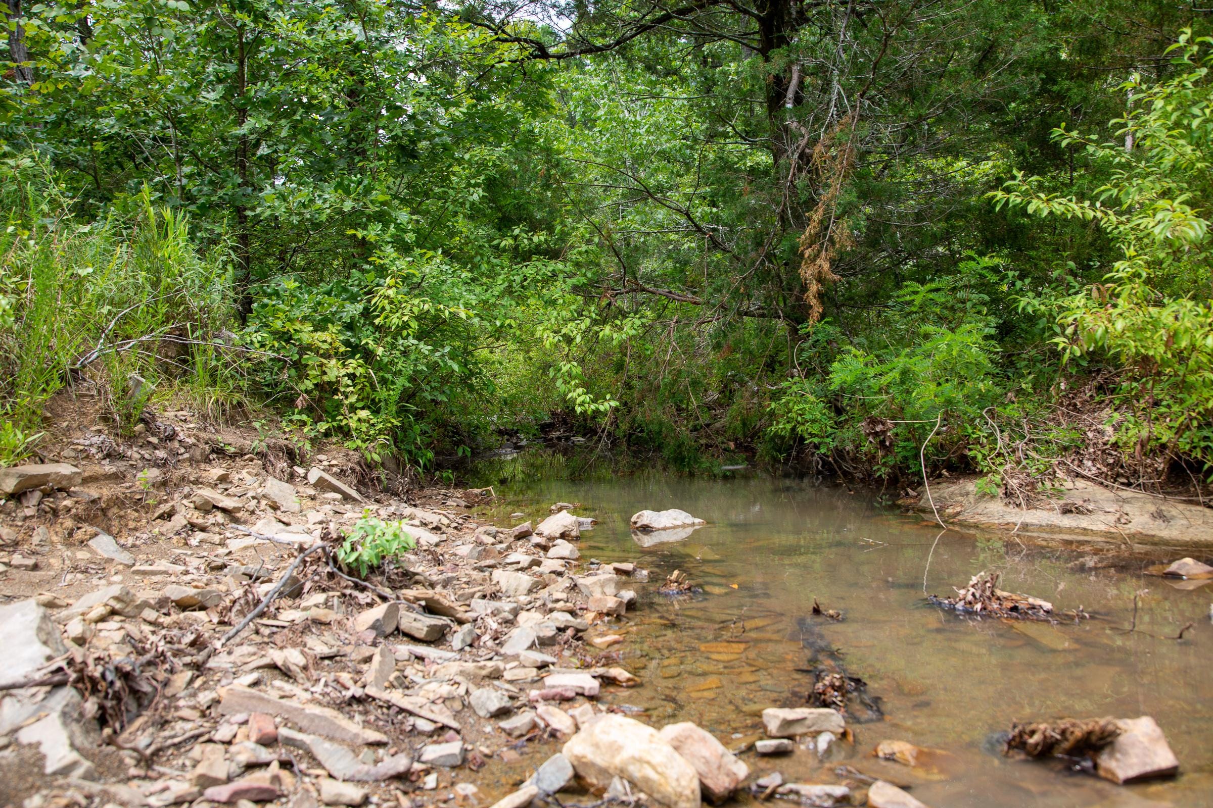 Tyler Stone Ranch Tract 68 photo 3