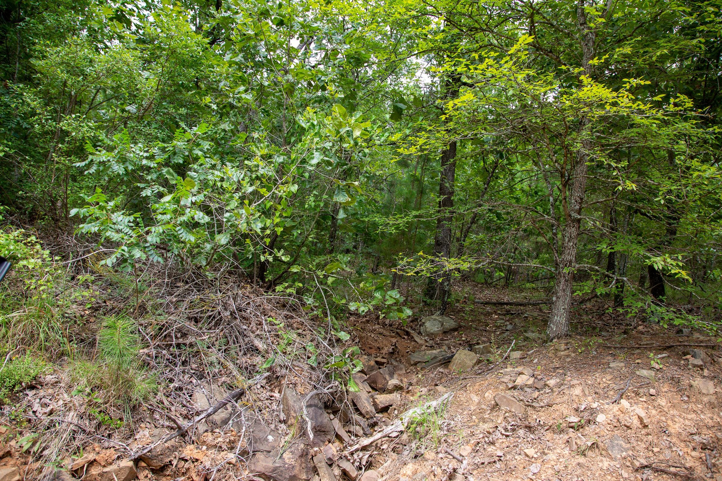Tyler Stone Ranch Tract 68 photo 15