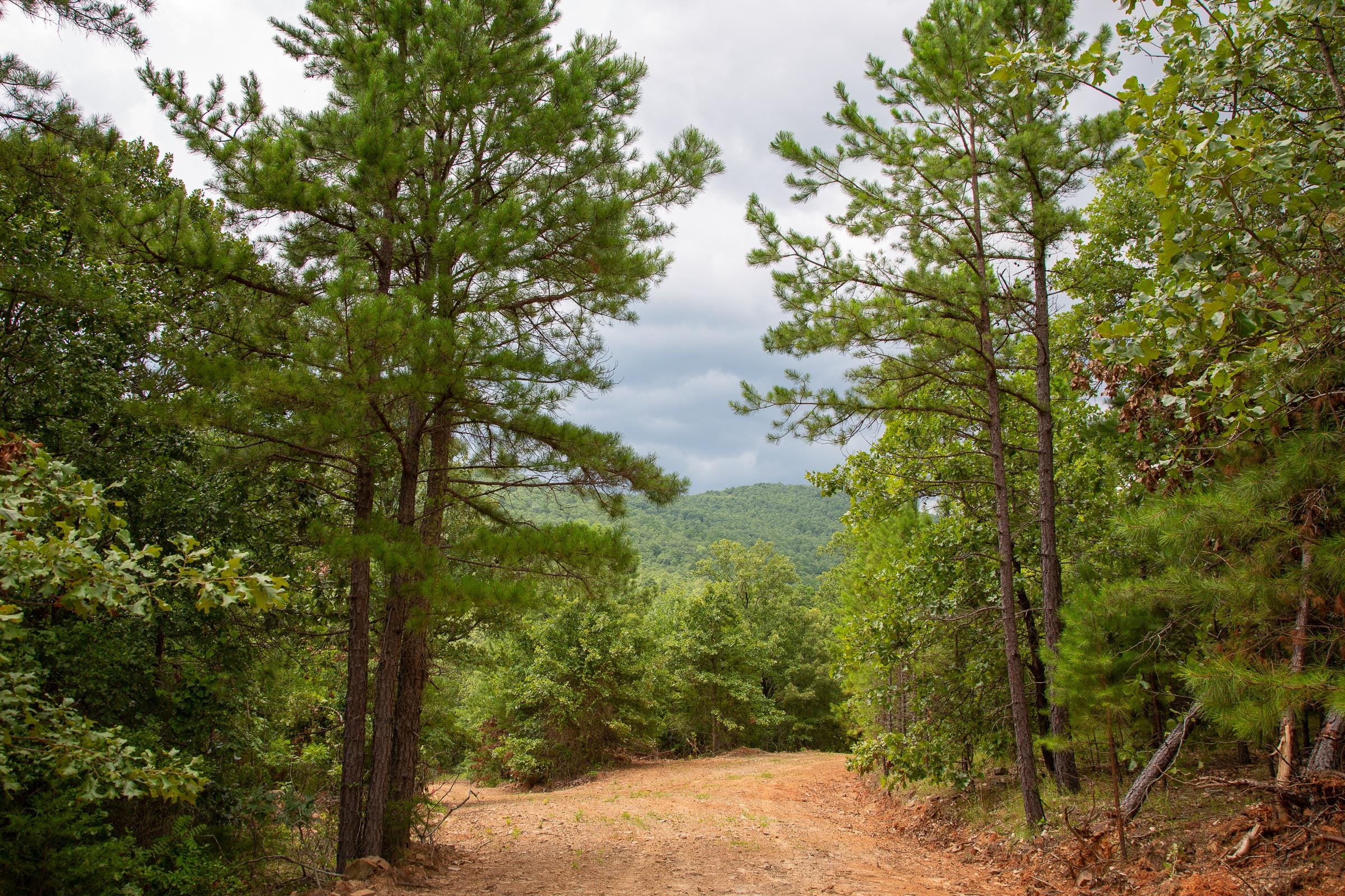 Tyler Stone Ranch Tract 68 photo 12