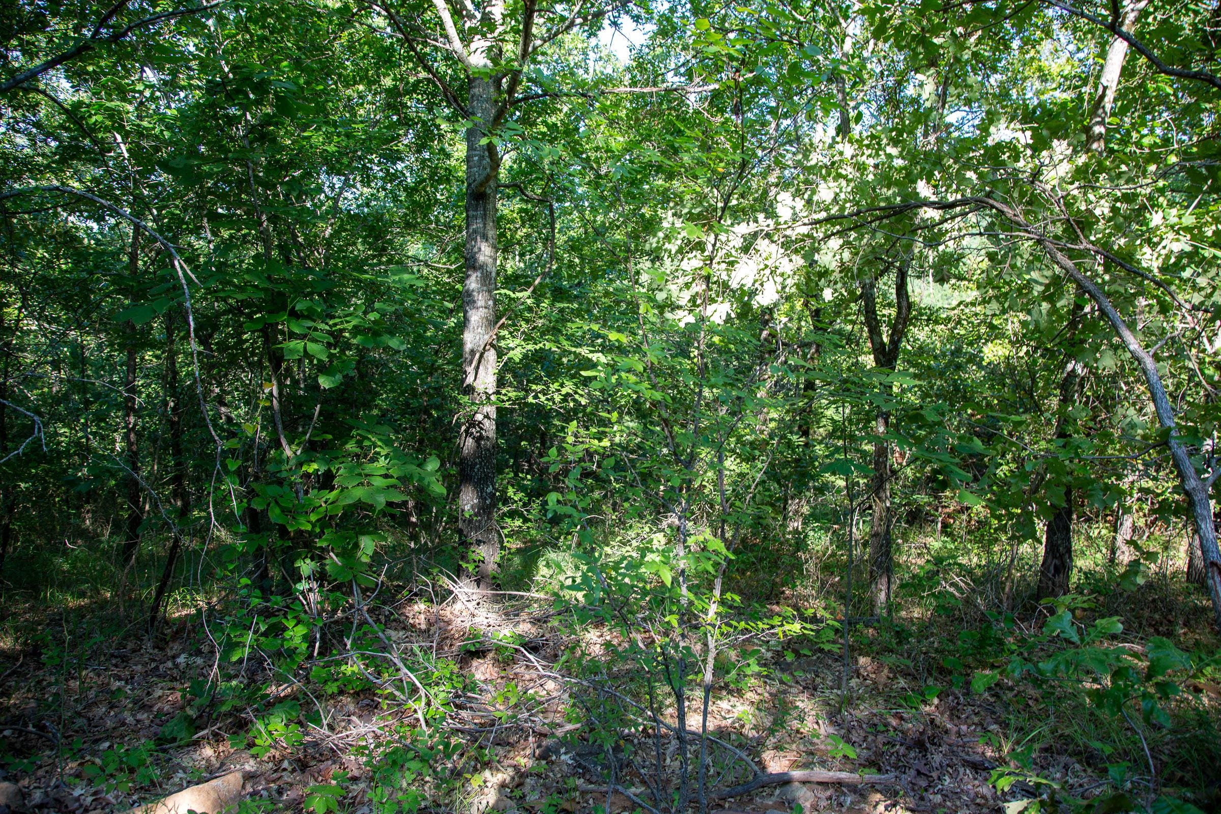 Tyler Stone Ranch Tract 68 photo 17