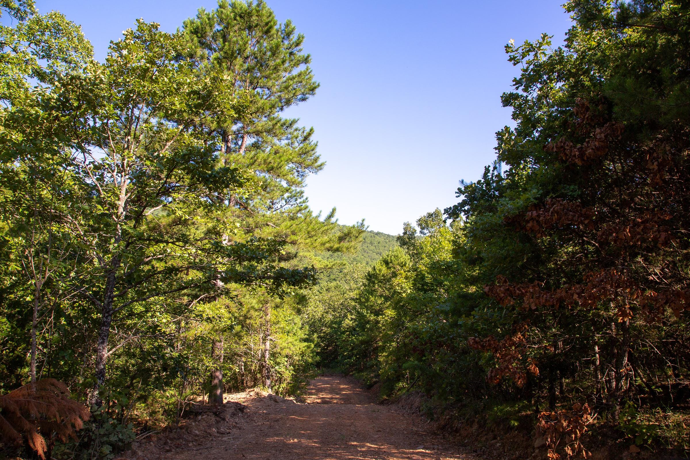Tyler Stone Ranch Tract 68 photo 18