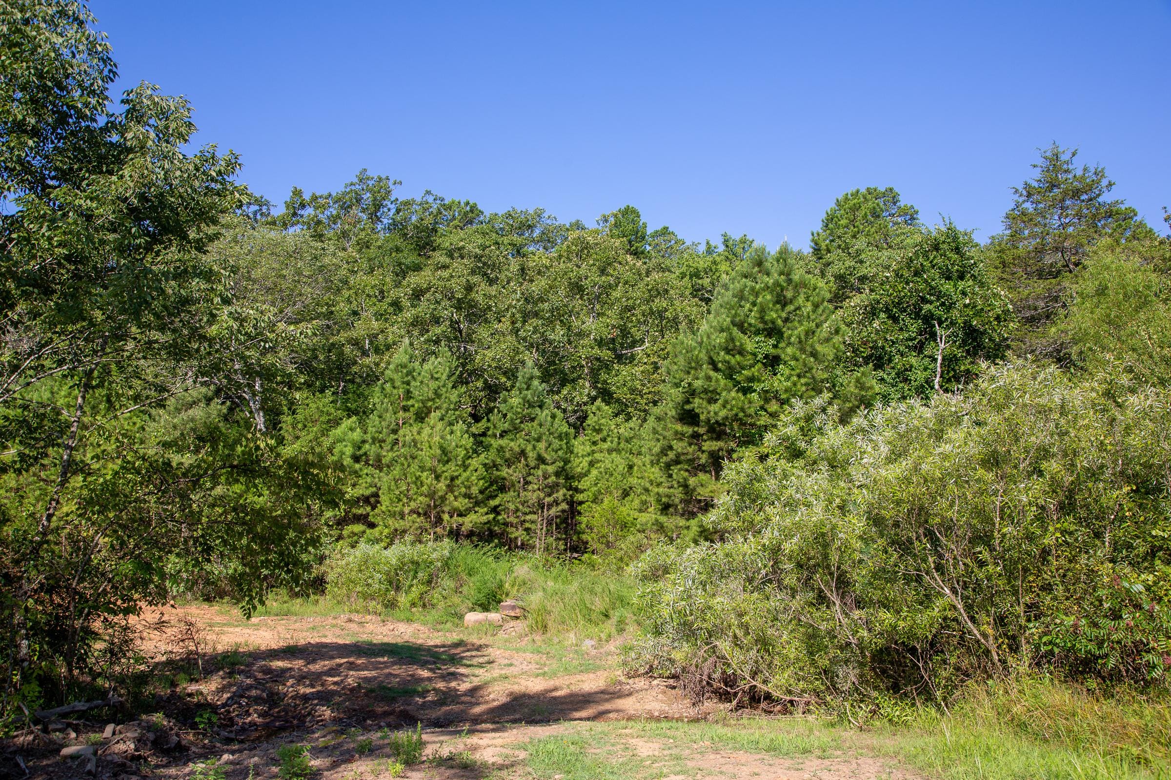Tyler Stone Ranch Tract 68 photo 19