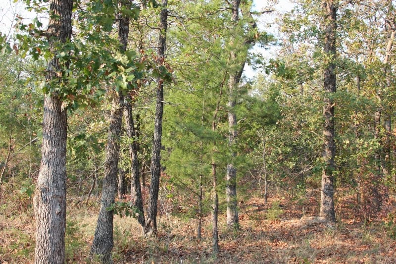 Lake View Ranch Tract 16 photo 1