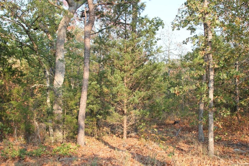 Lake View Ranch Tract 16 photo 2