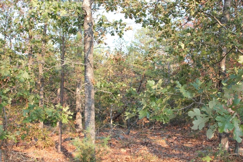 Lake View Ranch Tract 16 photo 5