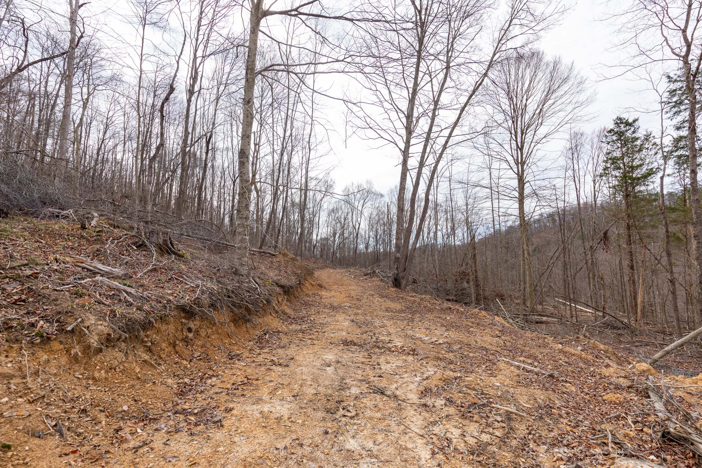 Creek Hollow Phase I Tract 5 photo 1