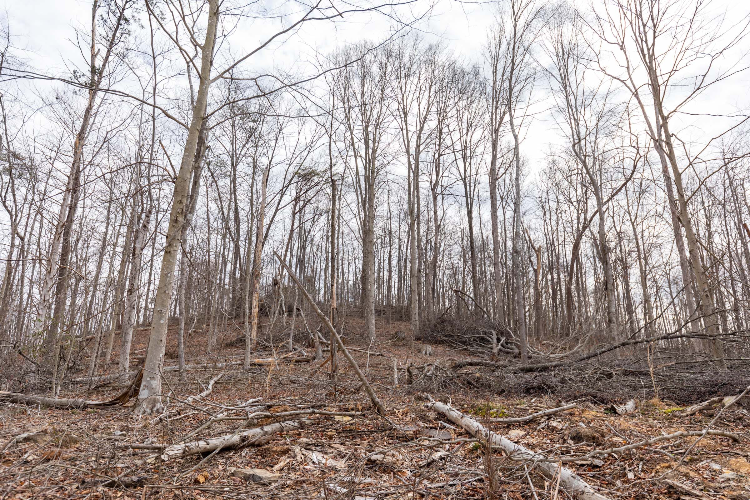 Creek Hollow Phase I Tract 5 photo 2