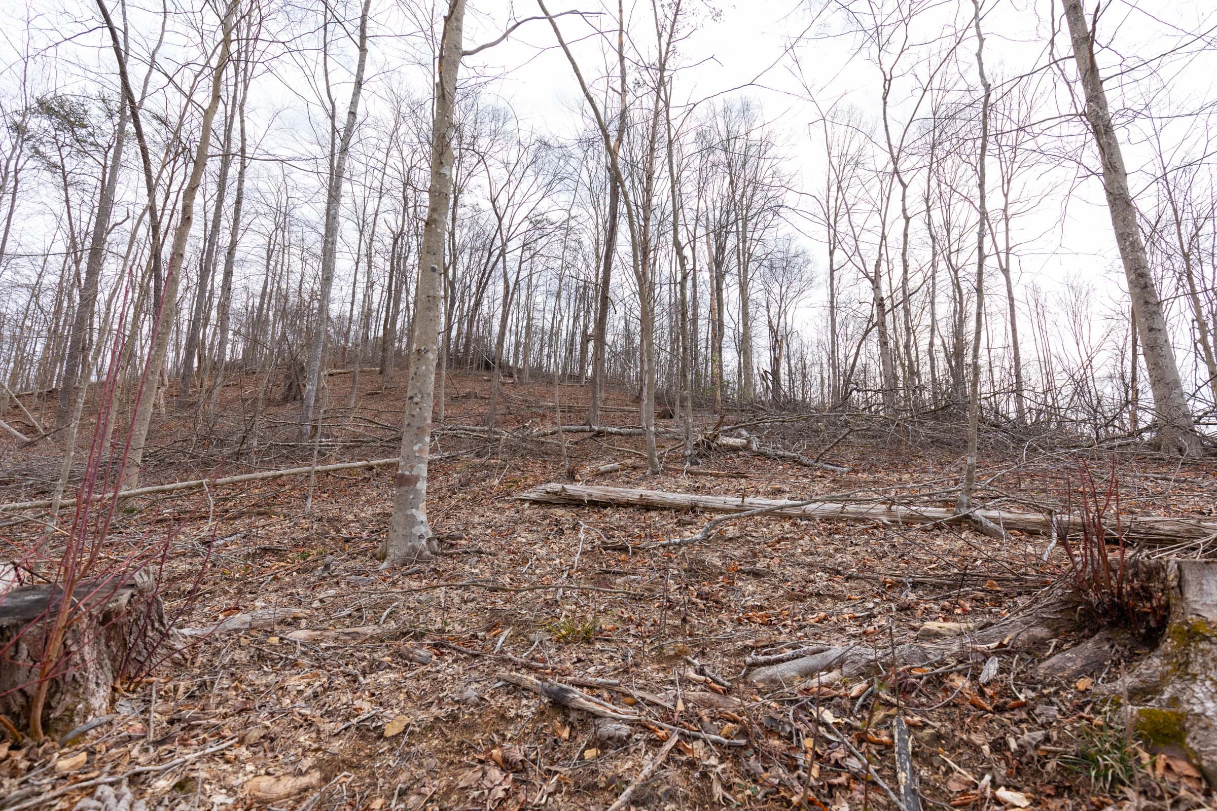 Creek Hollow Phase I Tract 5 photo 3