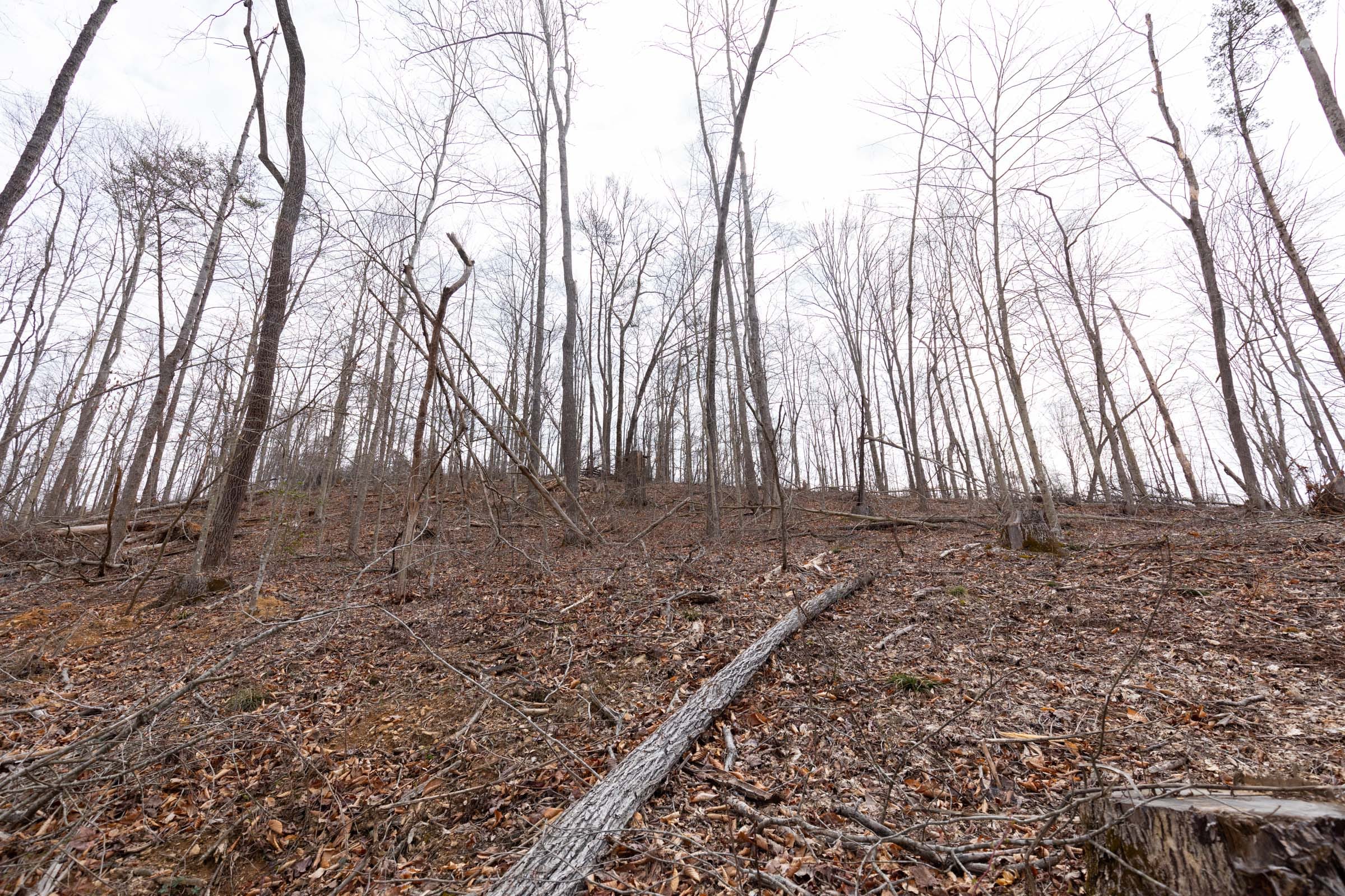 Creek Hollow Phase I Tract 5 photo 5
